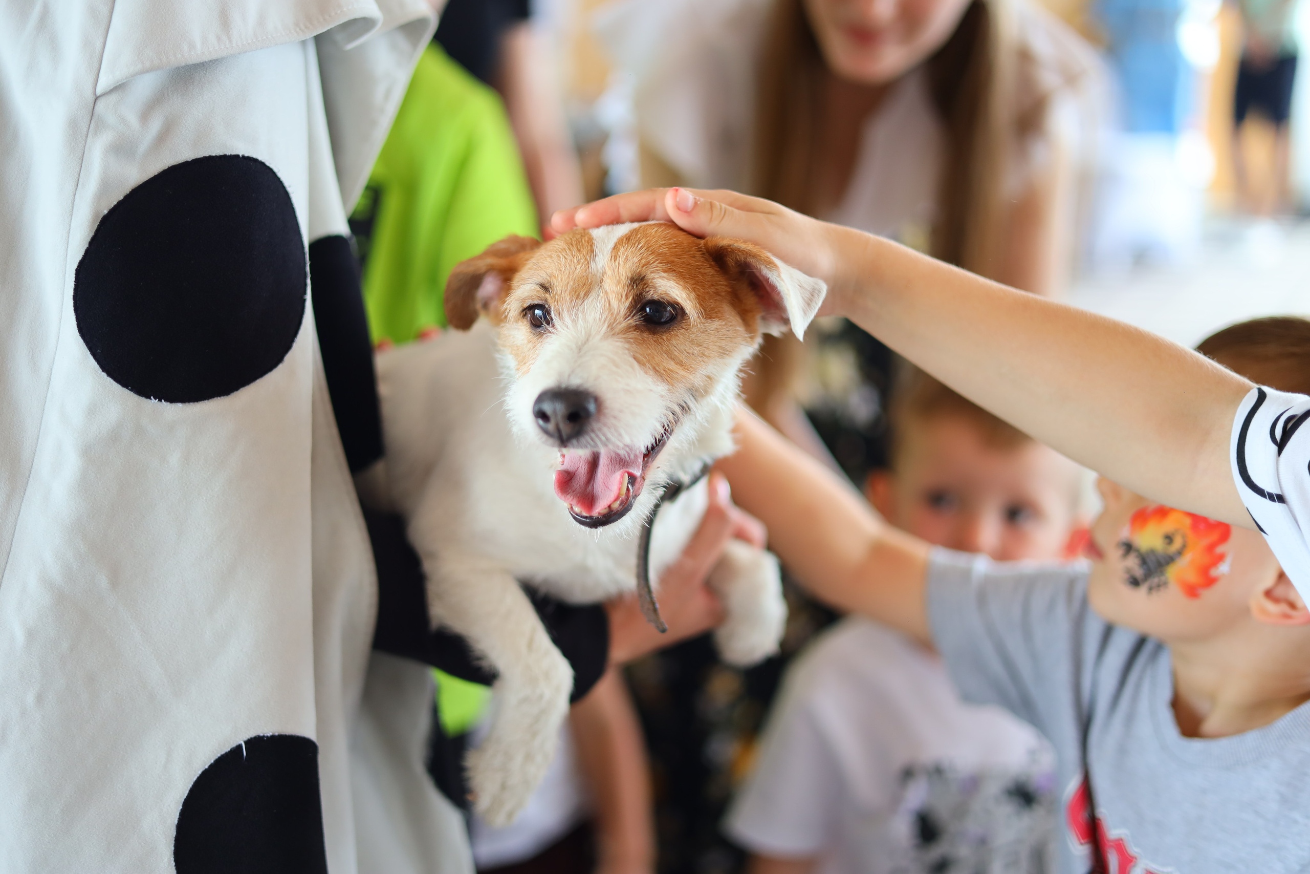 Праздник семьи