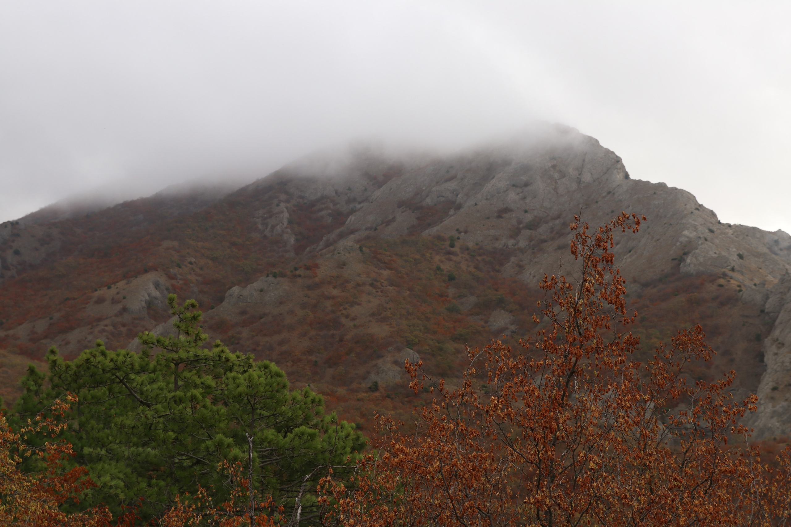 Крым. ЮБК (Гурзуф, Судак и их окрестности). Ноябрь 2023. Путешественник-фотограф из Санкт-Петербурга Татьяна Свистулина