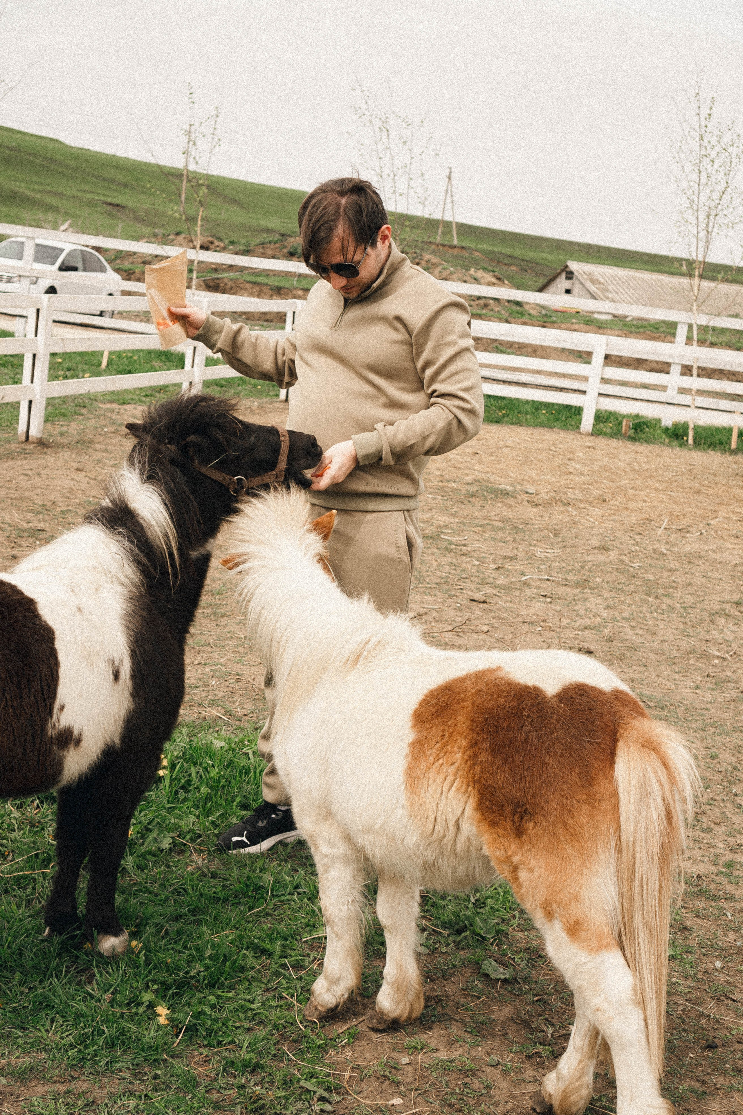 Ферма Альпак. Профессиональный фотограф, Санкт-Петербург — Виктория Богомолова