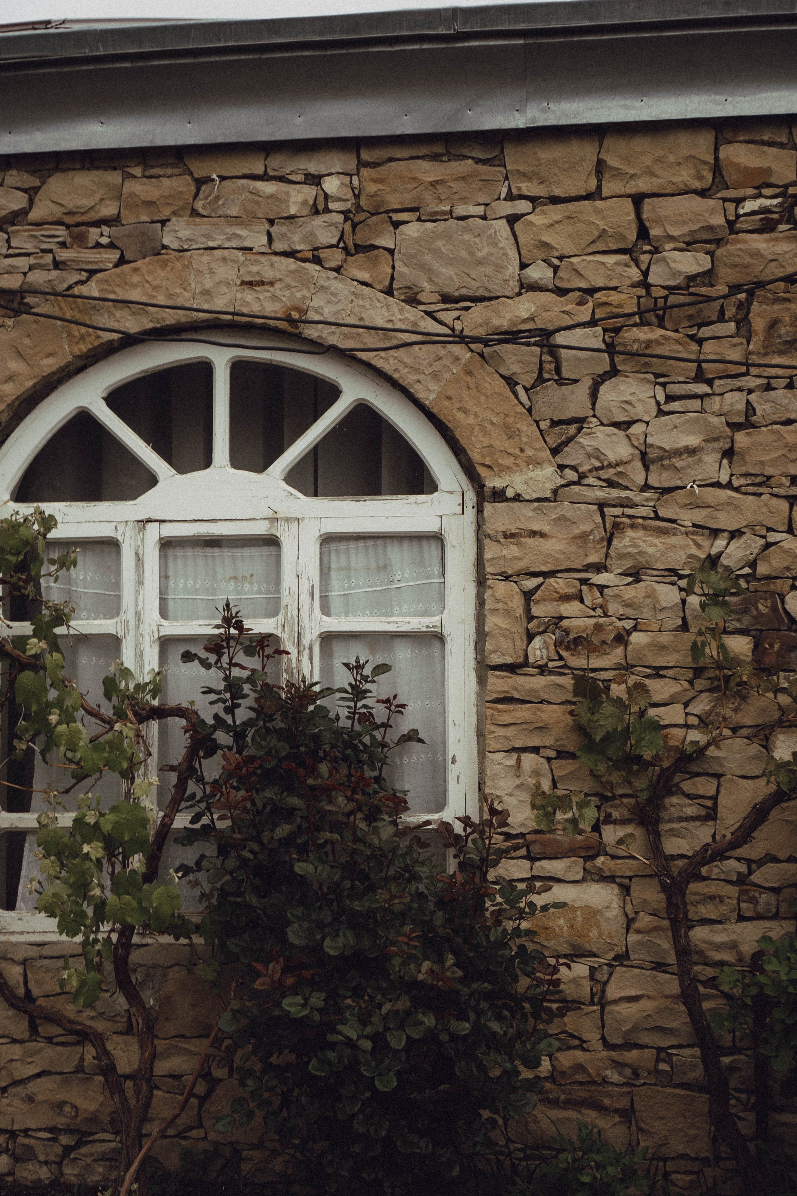 Путешествие в Дагестане. Профессиональный фотограф, Санкт-Петербург — Виктория Богомолова