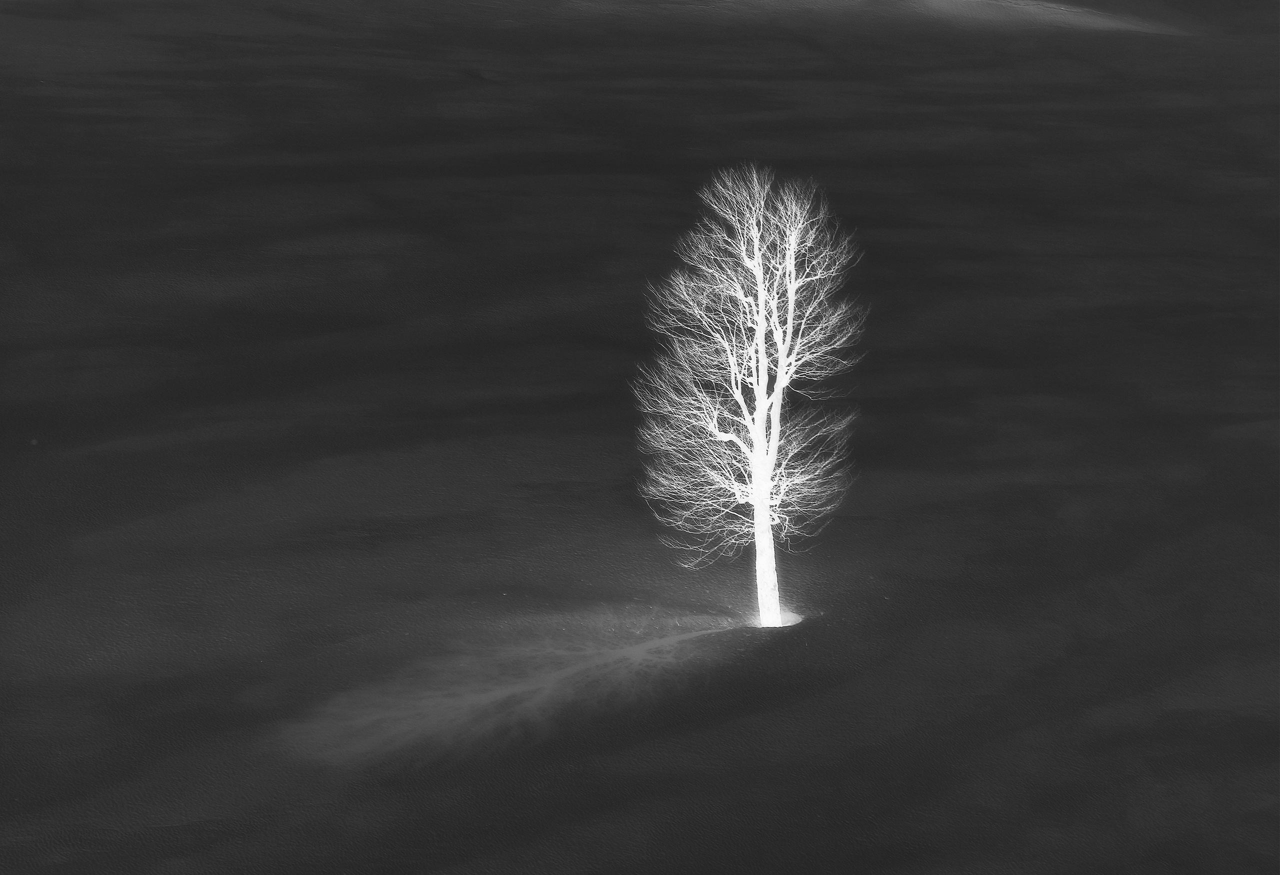 MONOCHROME черно-белое. Семейный и детский фотограф в Буэнос-Айресе Перевозчикова Анна Fotógrafa de familia y niños en Buenos Aires Perevozchikova Anna