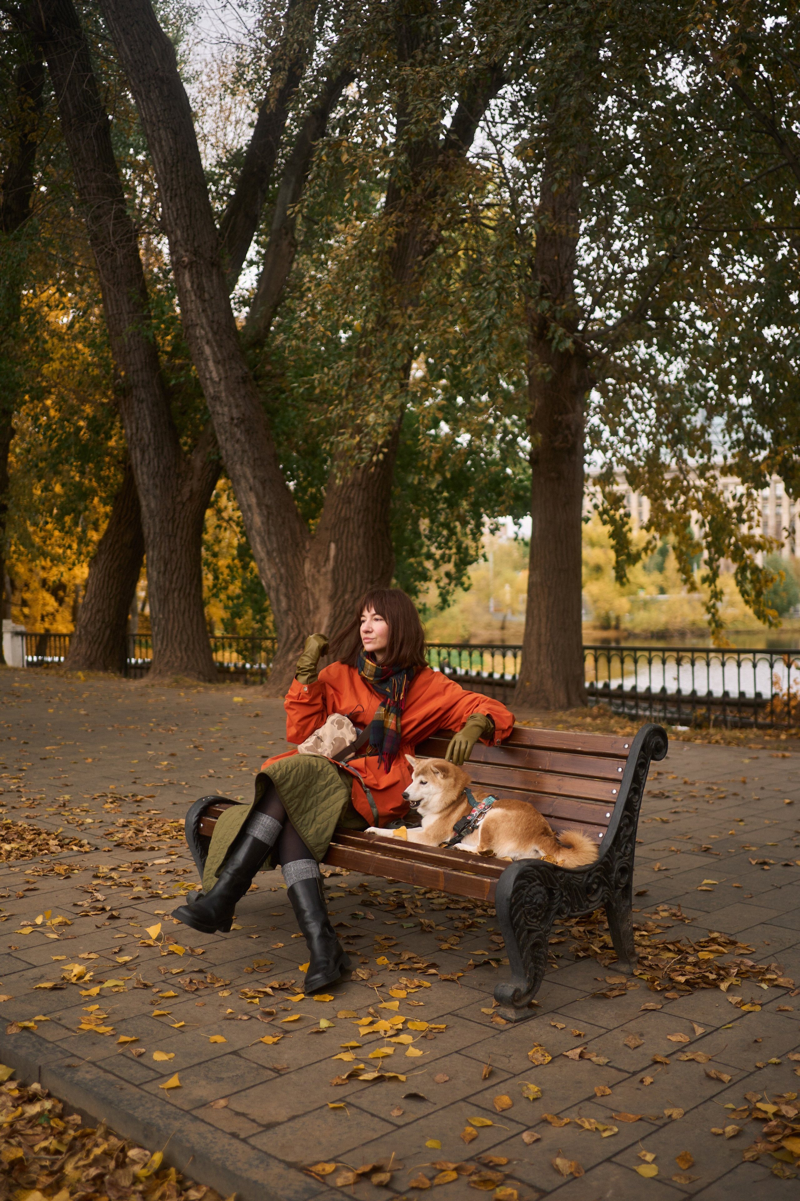 Осенние Уши. Фотограф анималист Москва Дарья