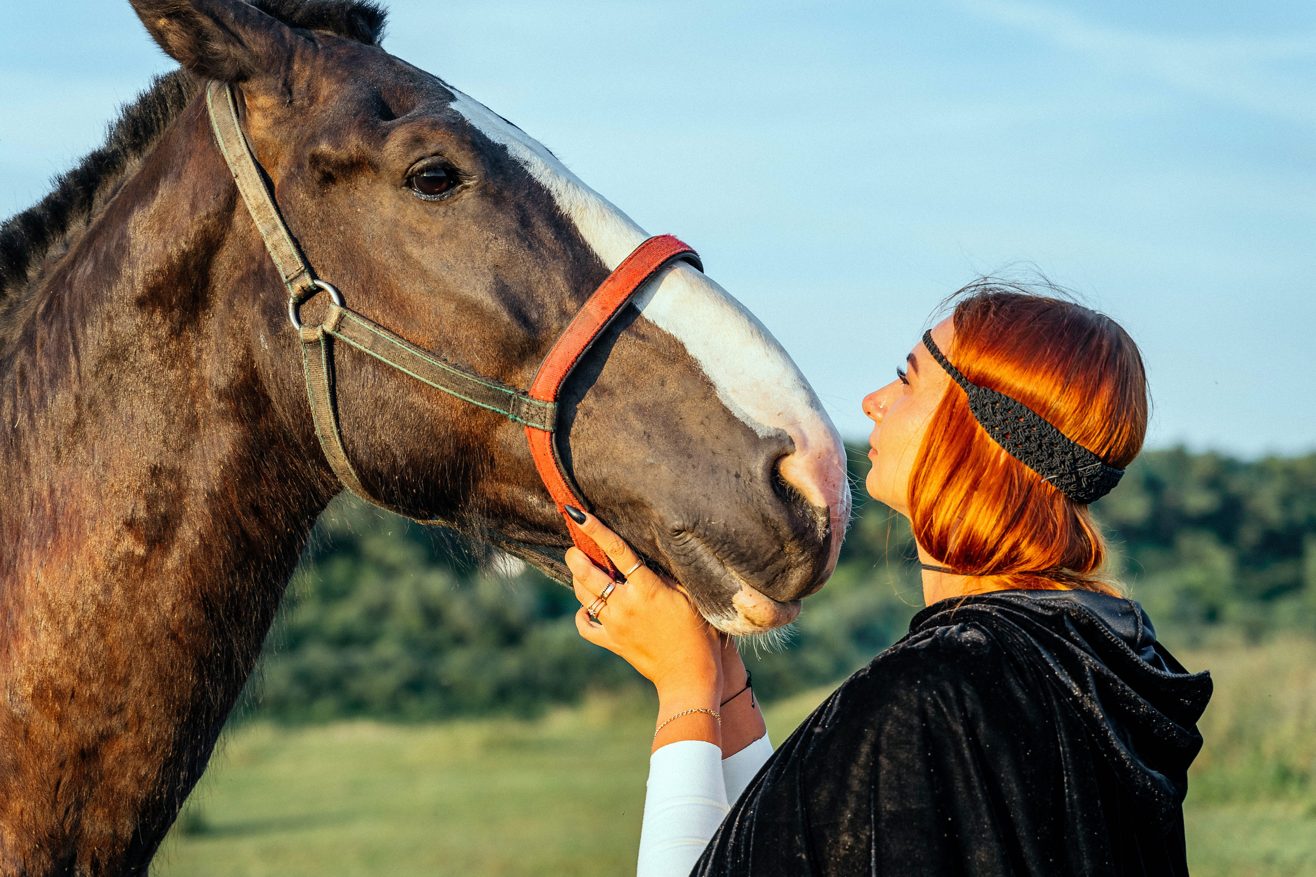 Анастасия и ее лошади. Фотограф Новополоцк, Полоцк, Минск, РБ, Зимаков Егор