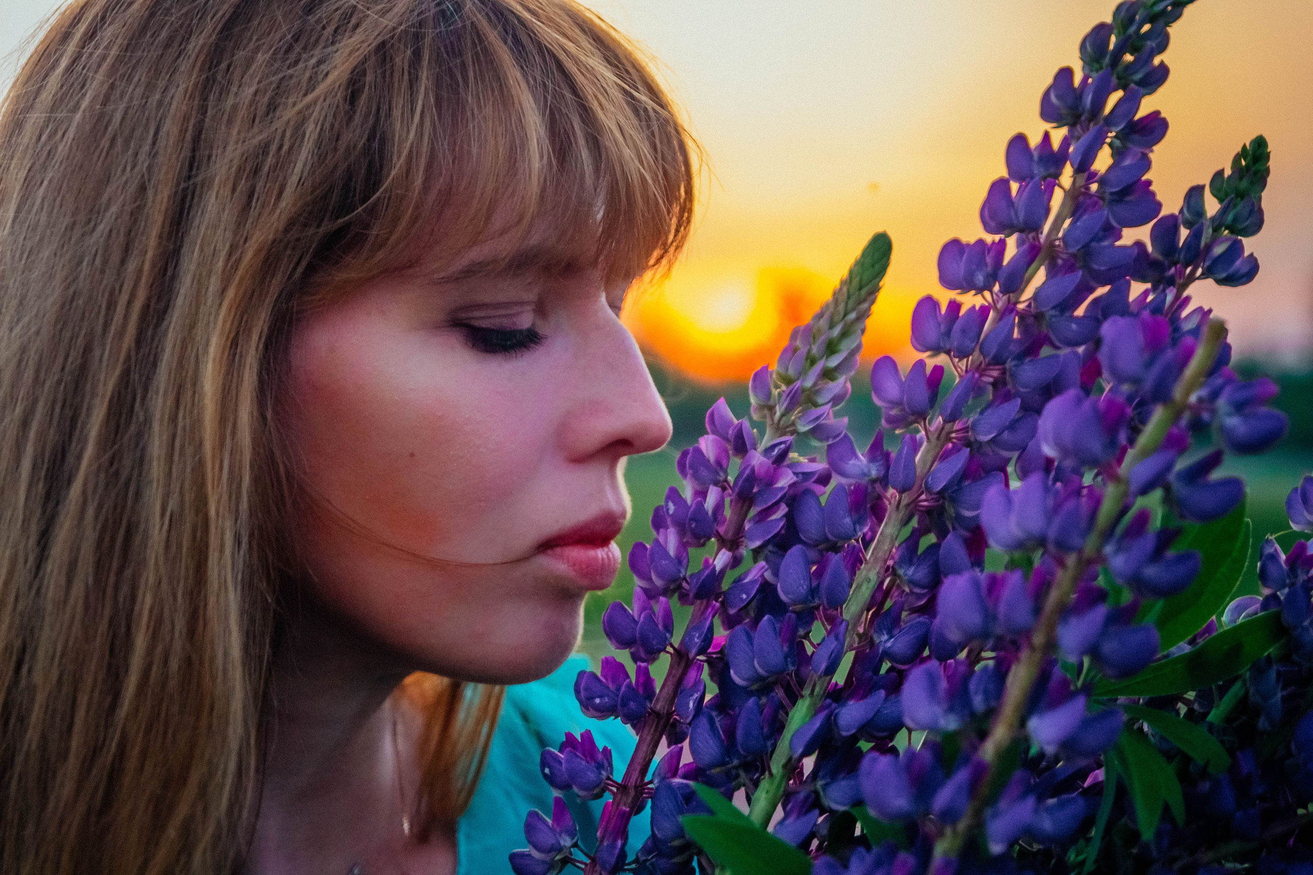 Закат в люпинах. Фотограф Новополоцк, Полоцк, Минск, РБ, Зимаков Егор