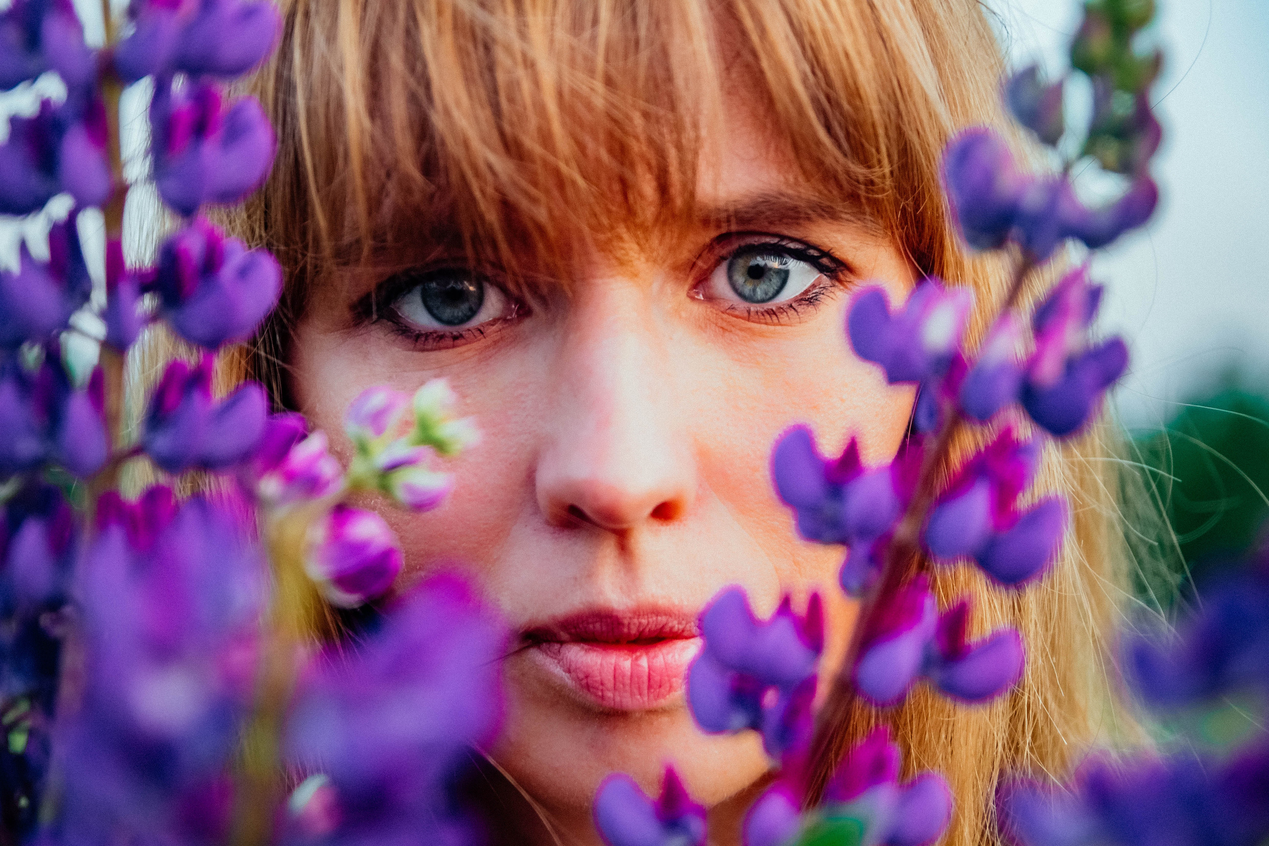 Закат в люпинах. Фотограф Новополоцк, Полоцк, Минск, РБ, Зимаков Егор