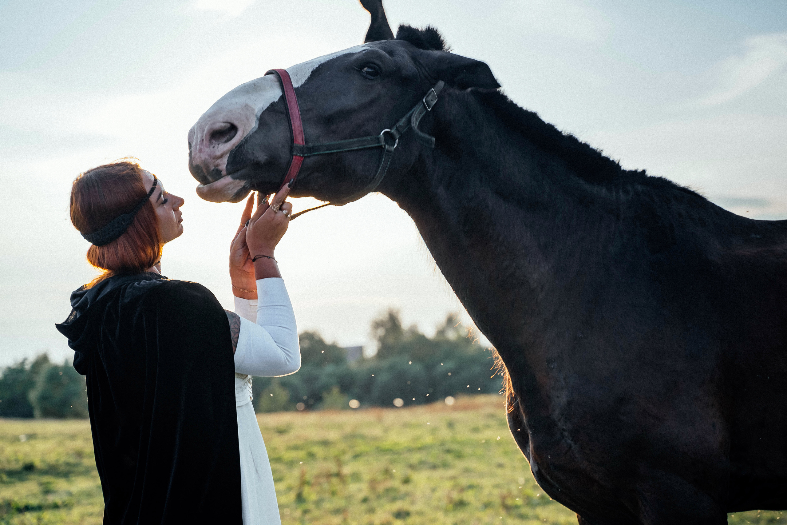 Анастасия и ее лошади. Фотограф Новополоцк, Полоцк, Минск, РБ, Зимаков Егор