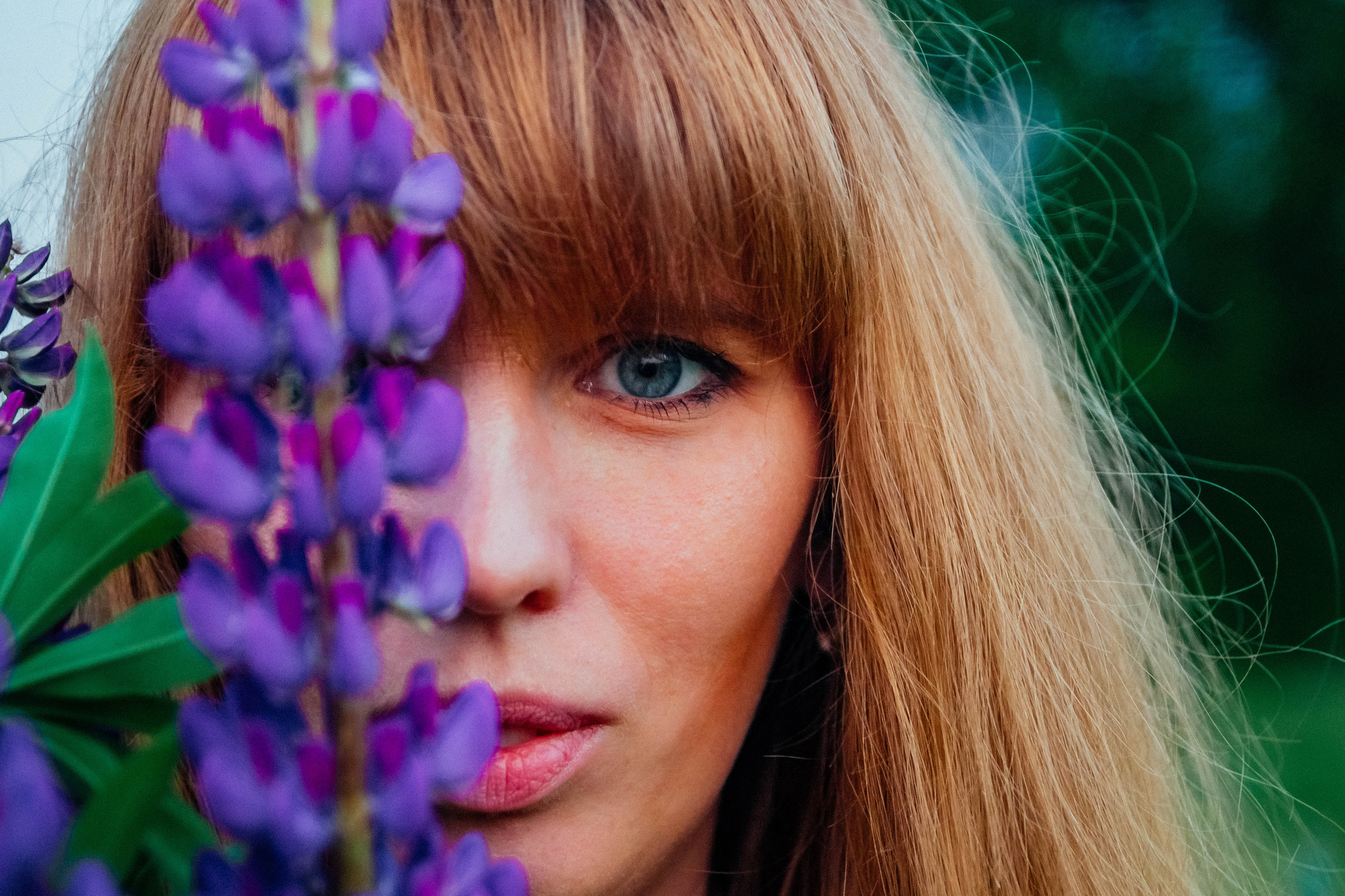 Закат в люпинах. Фотограф Новополоцк, Полоцк, Минск, РБ, Зимаков Егор