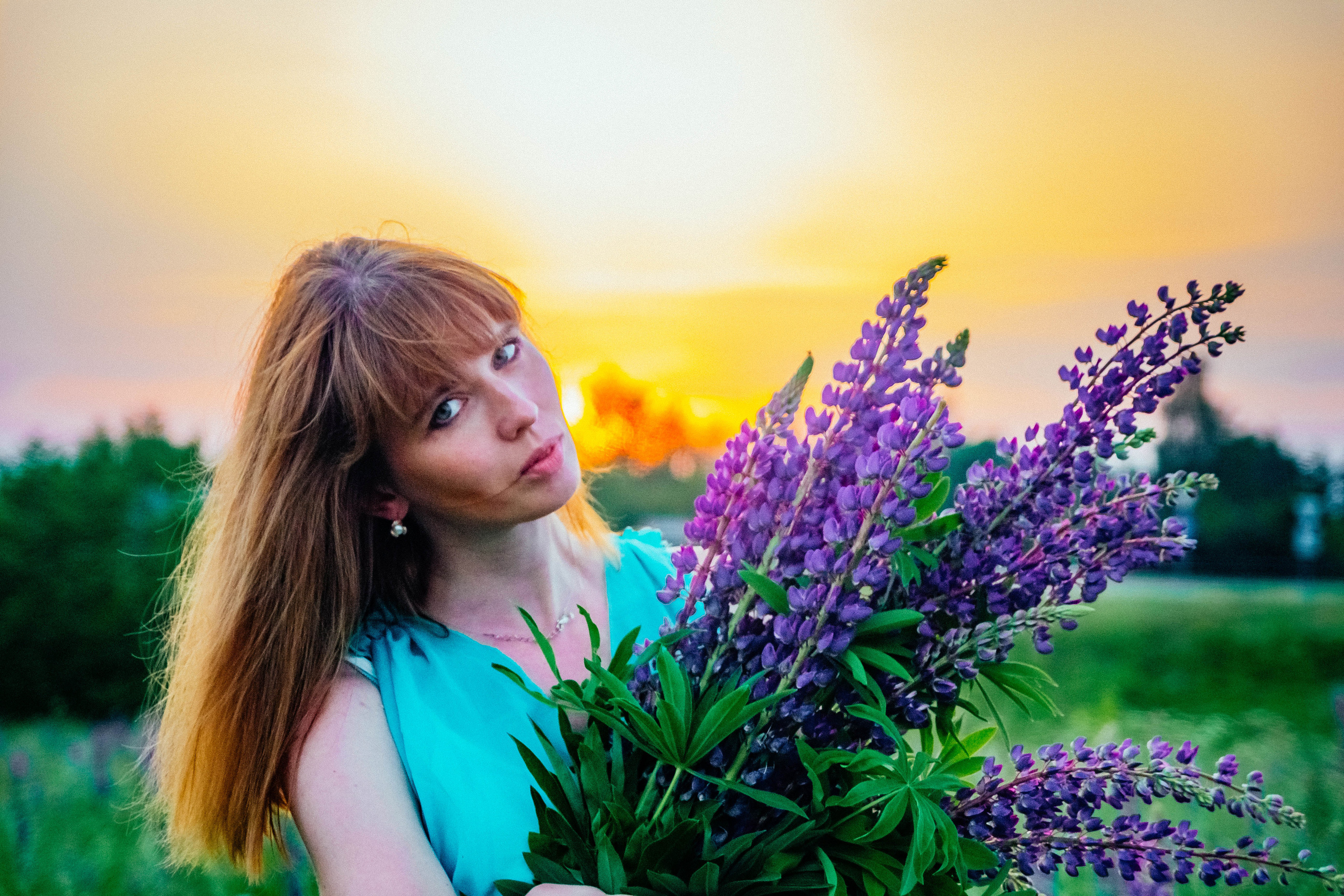 Закат в люпинах. Фотограф Новополоцк, Полоцк, Минск, РБ, Зимаков Егор