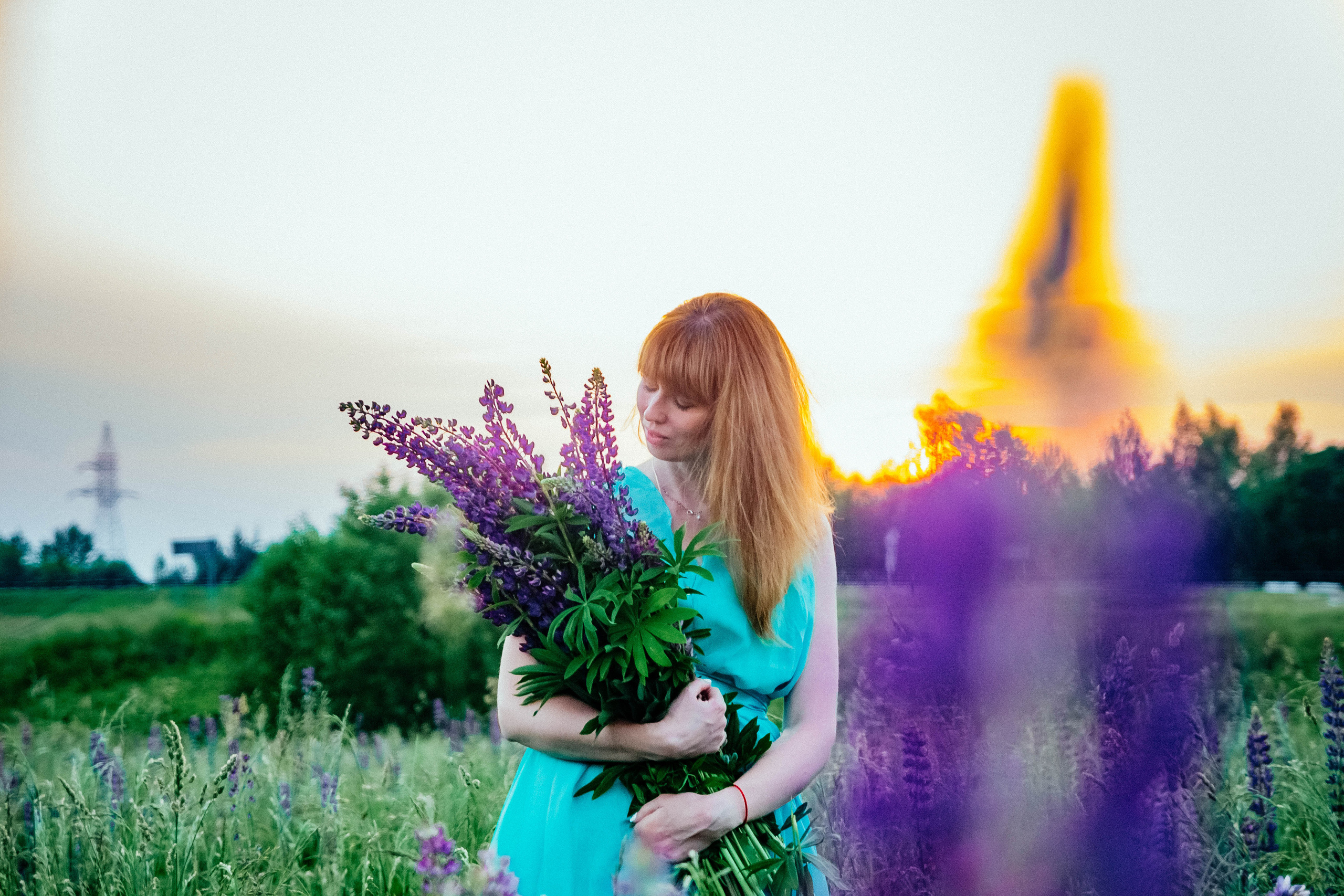 Закат в люпинах. Фотограф Новополоцк, Полоцк, Минск, РБ, Зимаков Егор