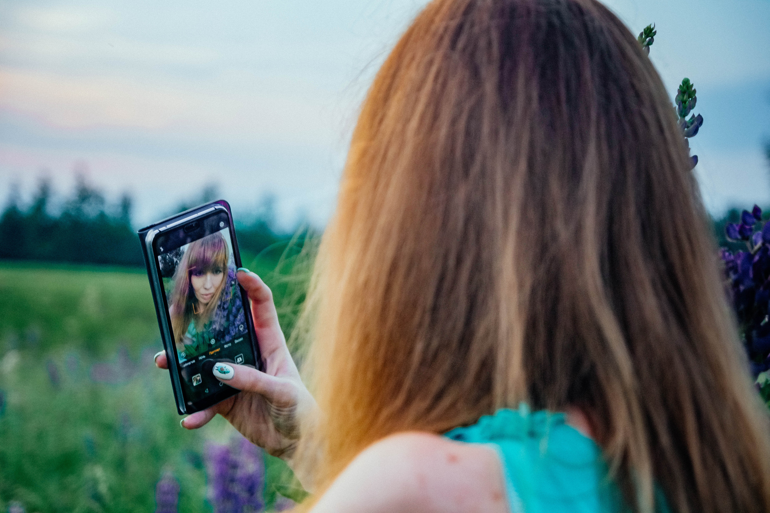 Закат в люпинах. Фотограф Новополоцк, Полоцк, Минск, РБ, Зимаков Егор