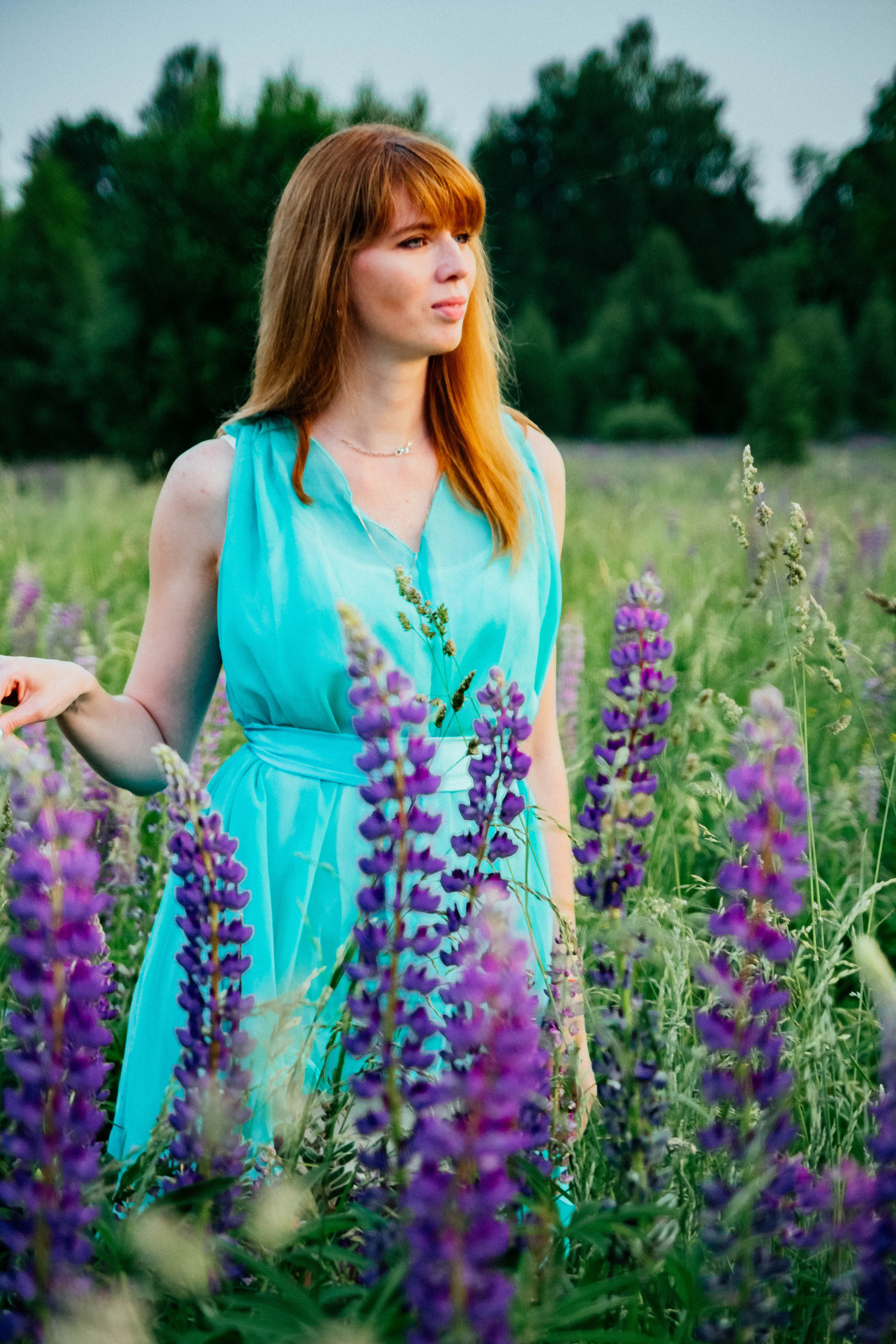 Закат в люпинах. Фотограф Новополоцк, Полоцк, Минск, РБ, Зимаков Егор