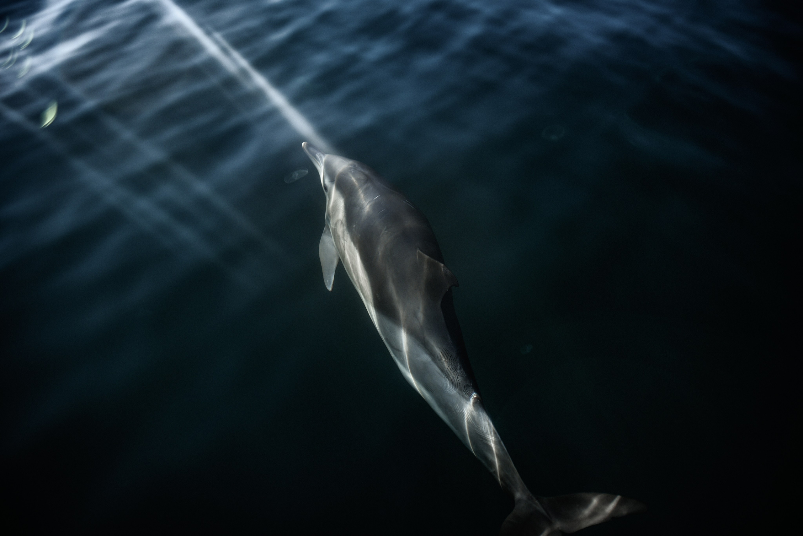 Wild and free. Anastasia Serdyuk, travel photographer, travel photo, portraits, stories, fineart prints