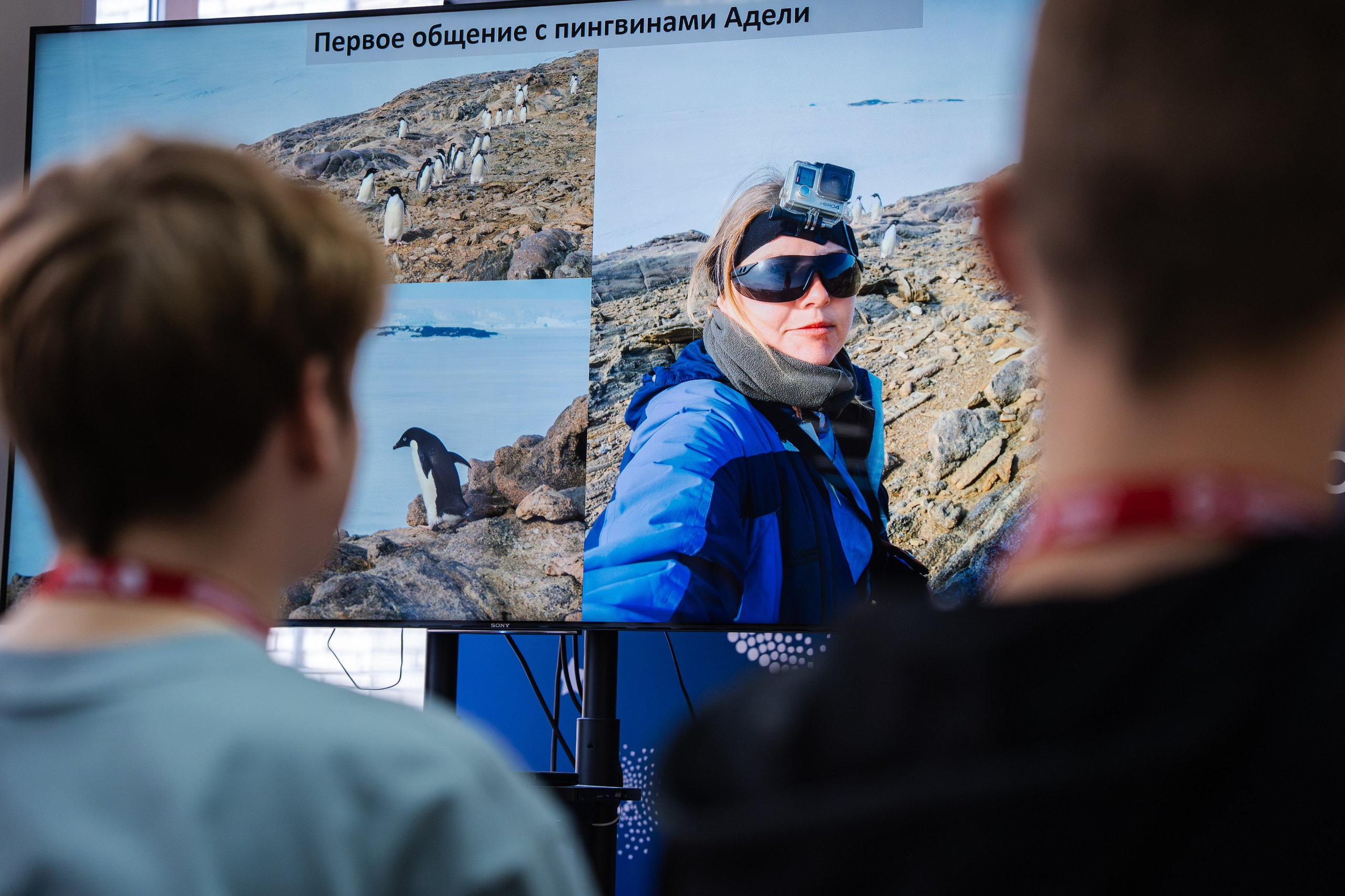 Просветительский проект Ассоциации Полярников «Встреча поколений». Фотограф Владимир Бакарюк