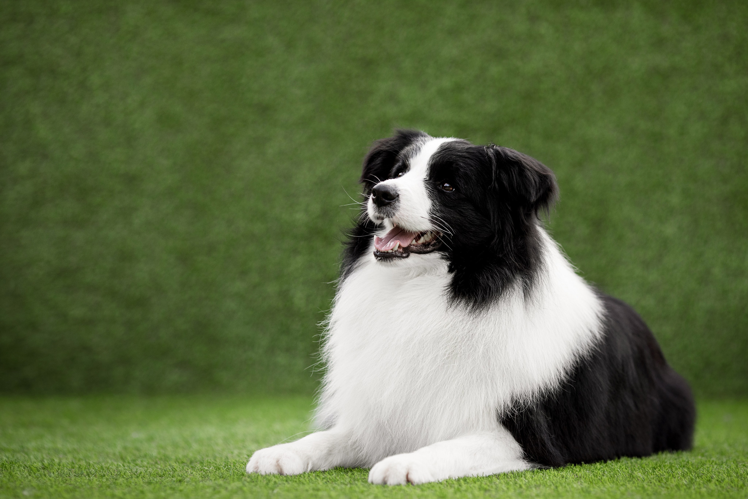 Роскошь в ростошах. О нас