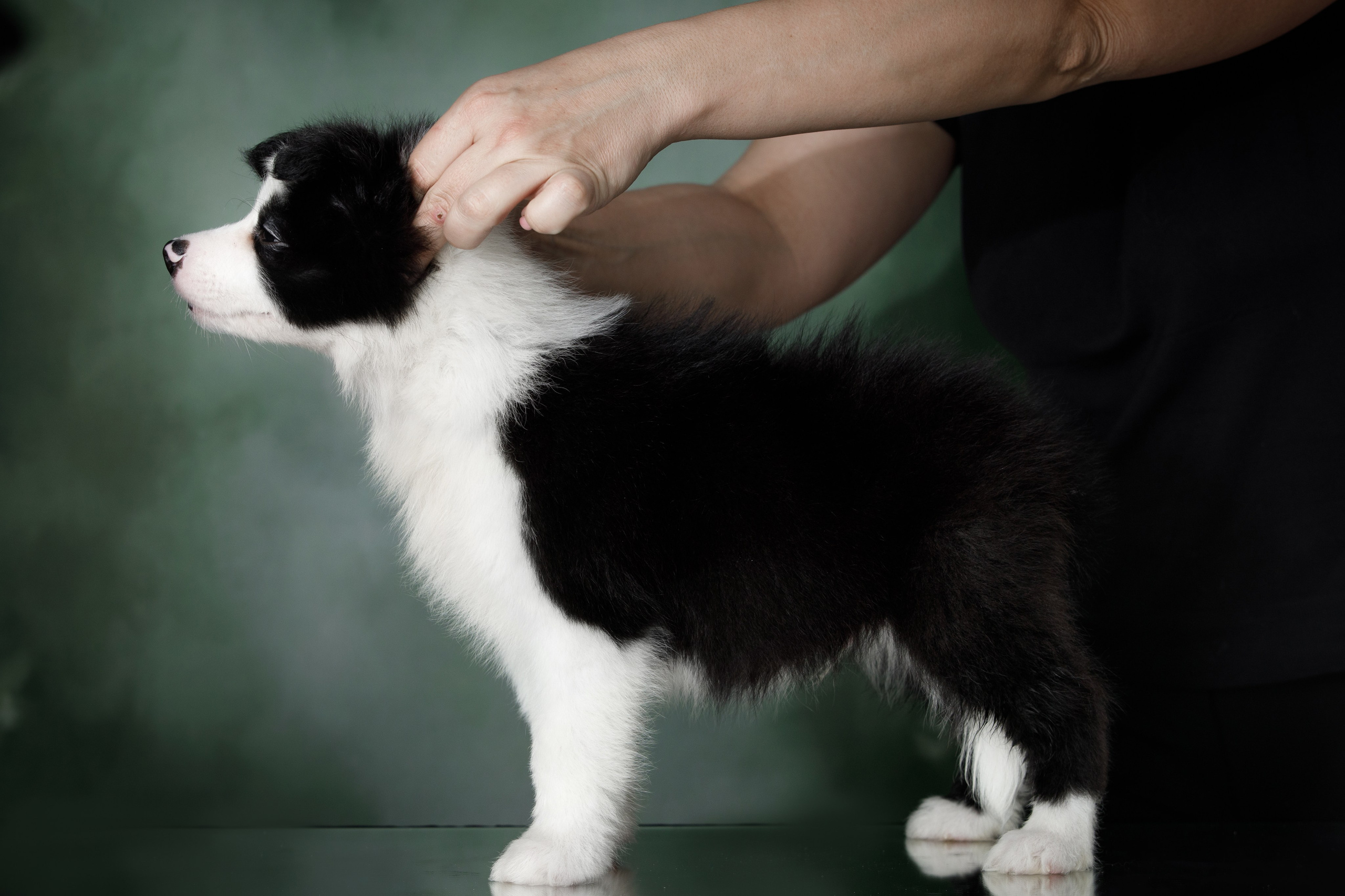 Март. Весна. 22. О нас