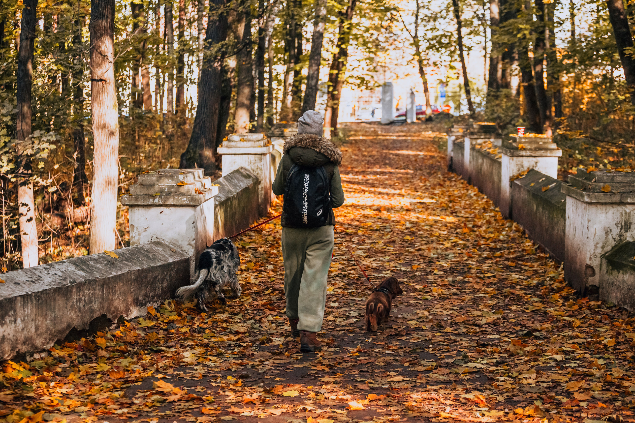 Света, Хайди, Богдана. Фотограф-анималист Татьяна Степанова