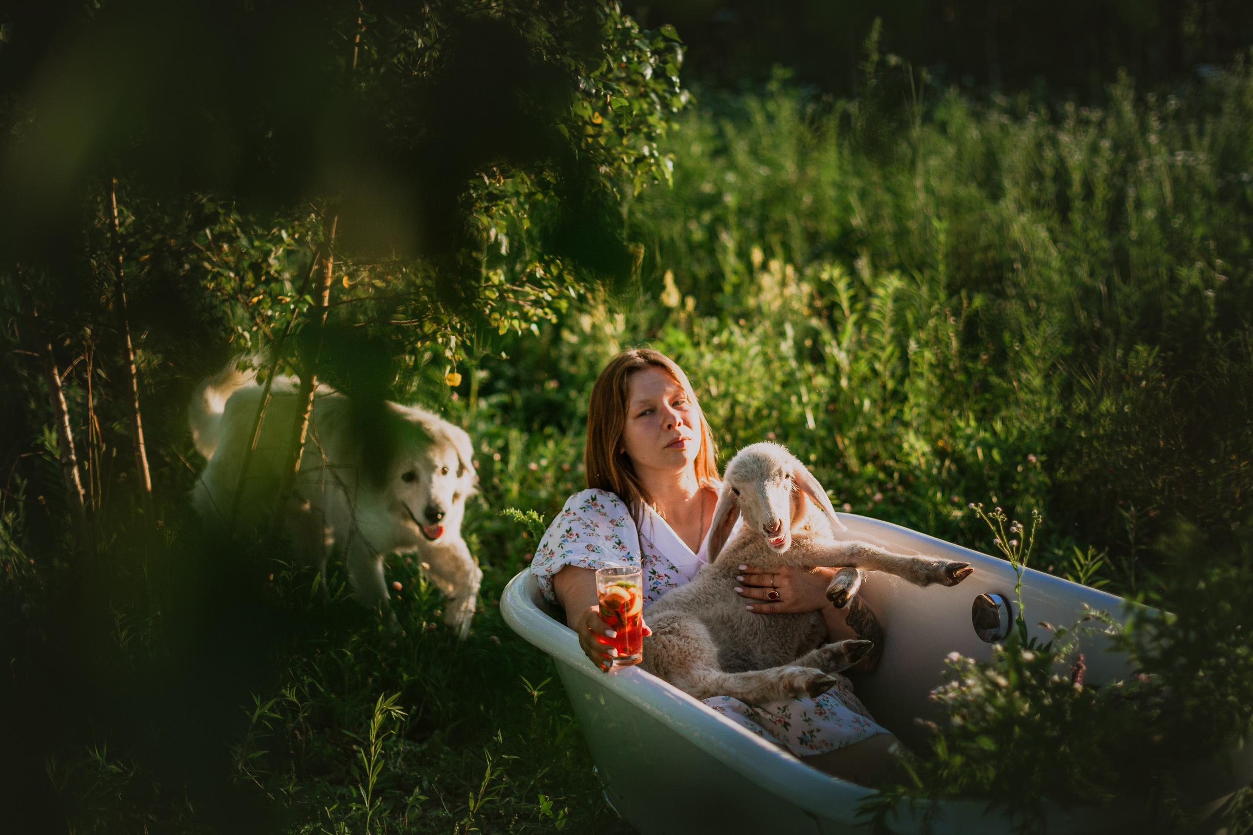 Ванна в поле. Фотограф-анималист Татьяна Степанова