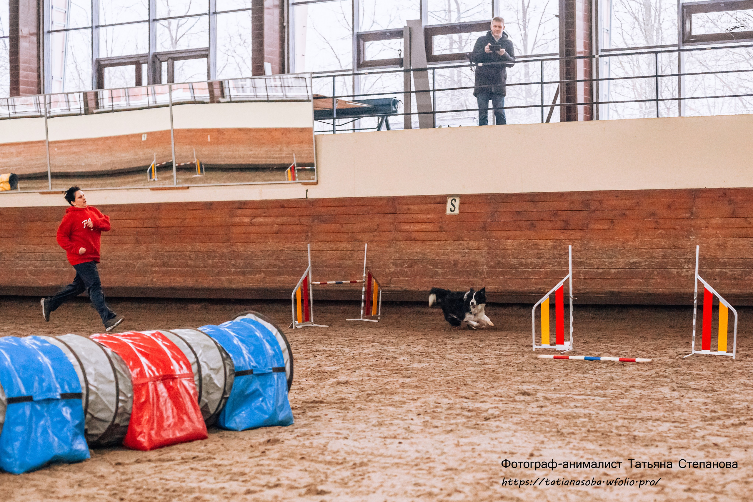 Соревнования по Аджилити 25.02.2024. Фотограф-анималист Татьяна Степанова