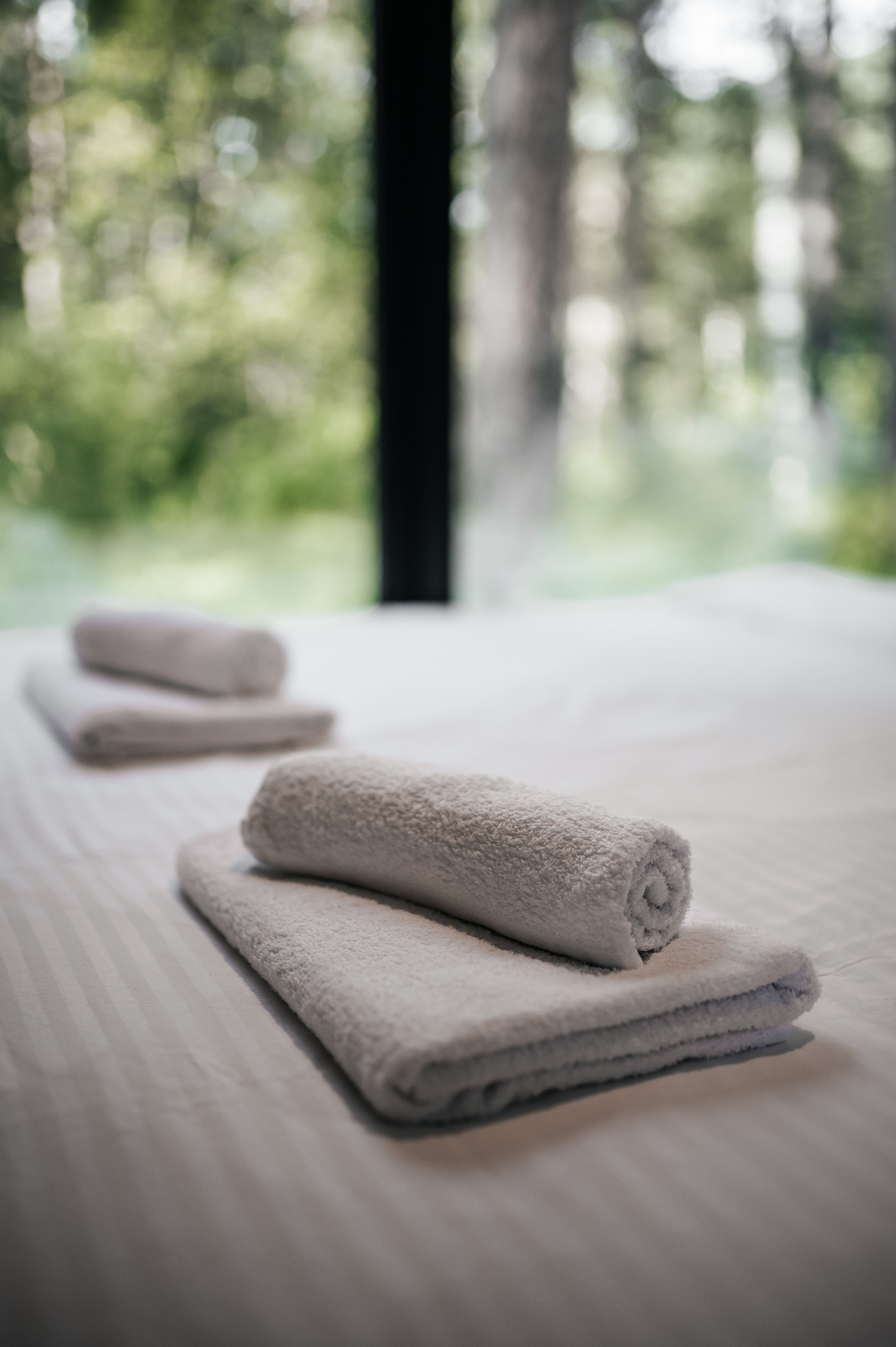 База отдыха «Лайм». Свадебная  съемка на Алтае