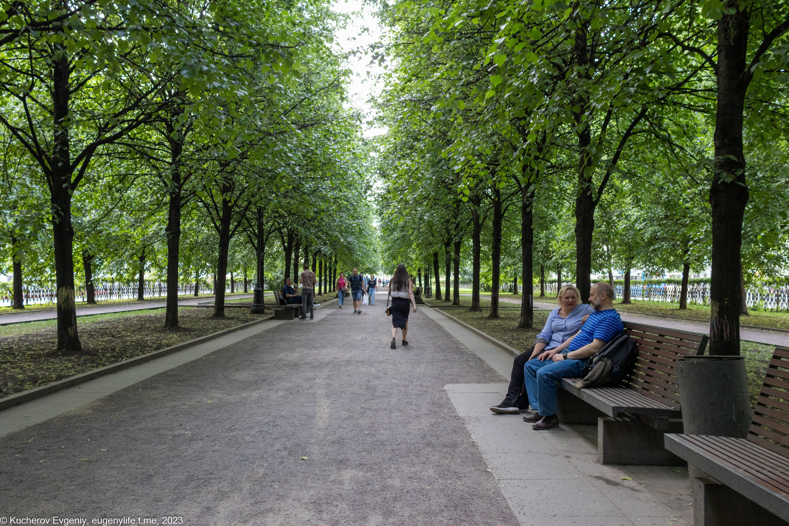 Скамейки. Кучеров Евгений. Фотограф