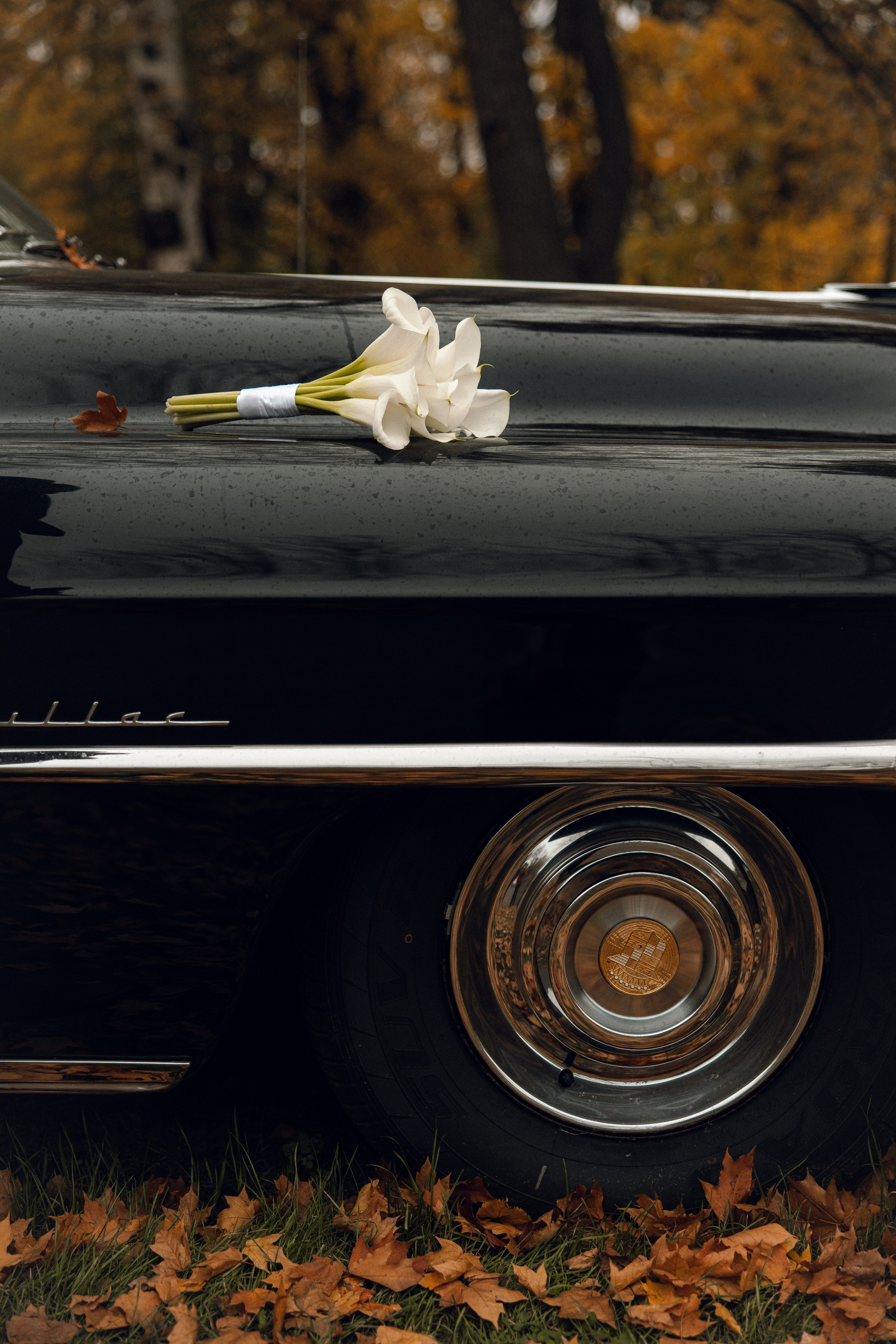 Фотограф Дарья Васьковская