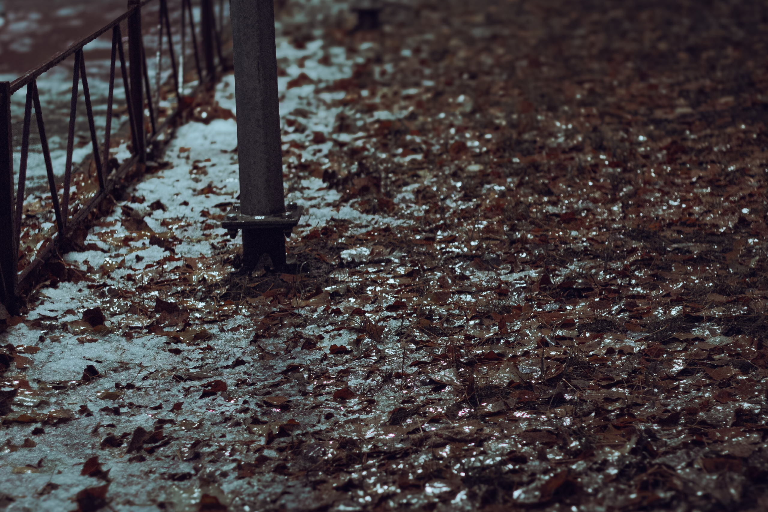 Осень-зима. Фотограф Москва, портрет, стрит, репортаж. Художественная фотосессия