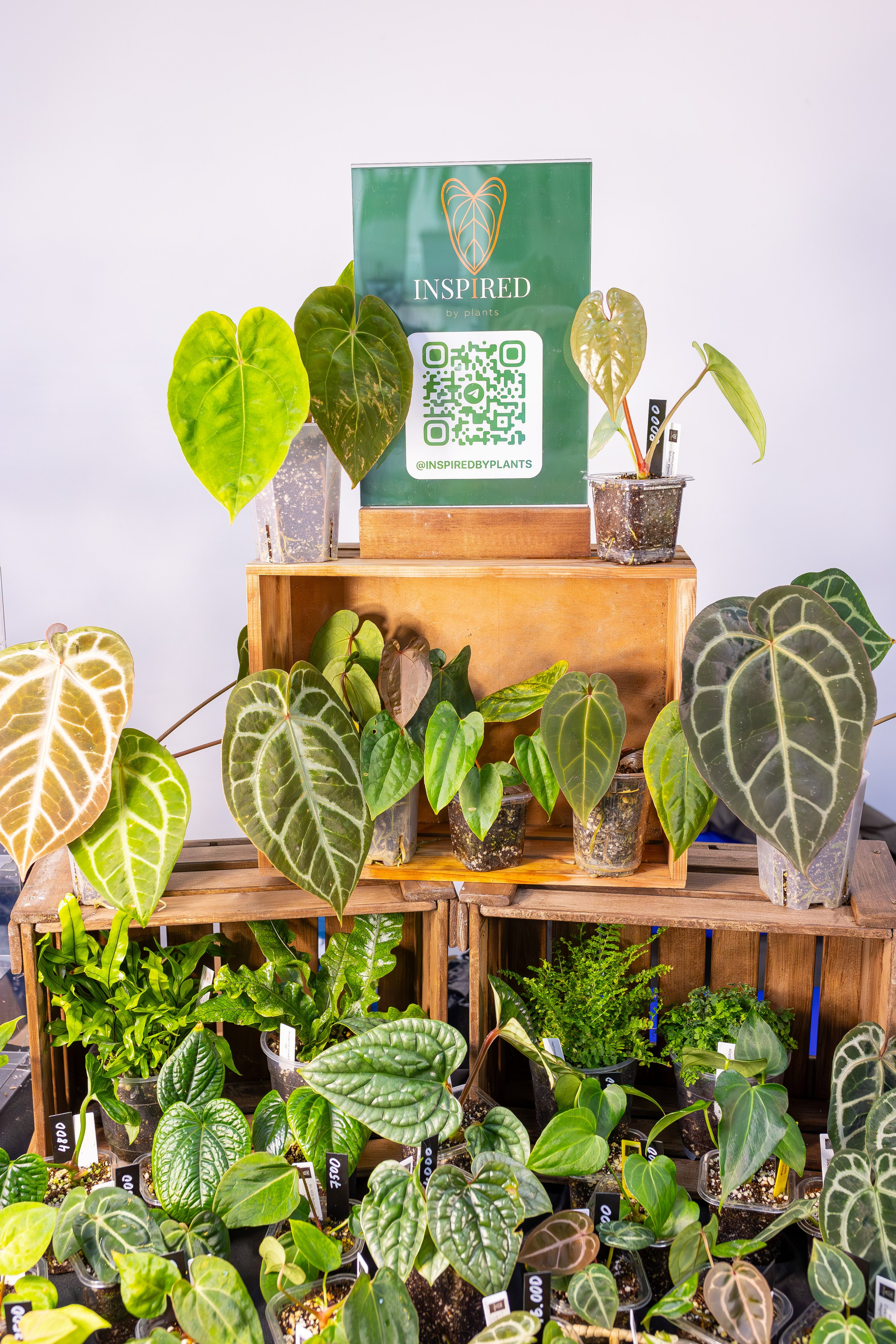 Монстериум 11–12 октября. Александра Куликова фотограф, Москва