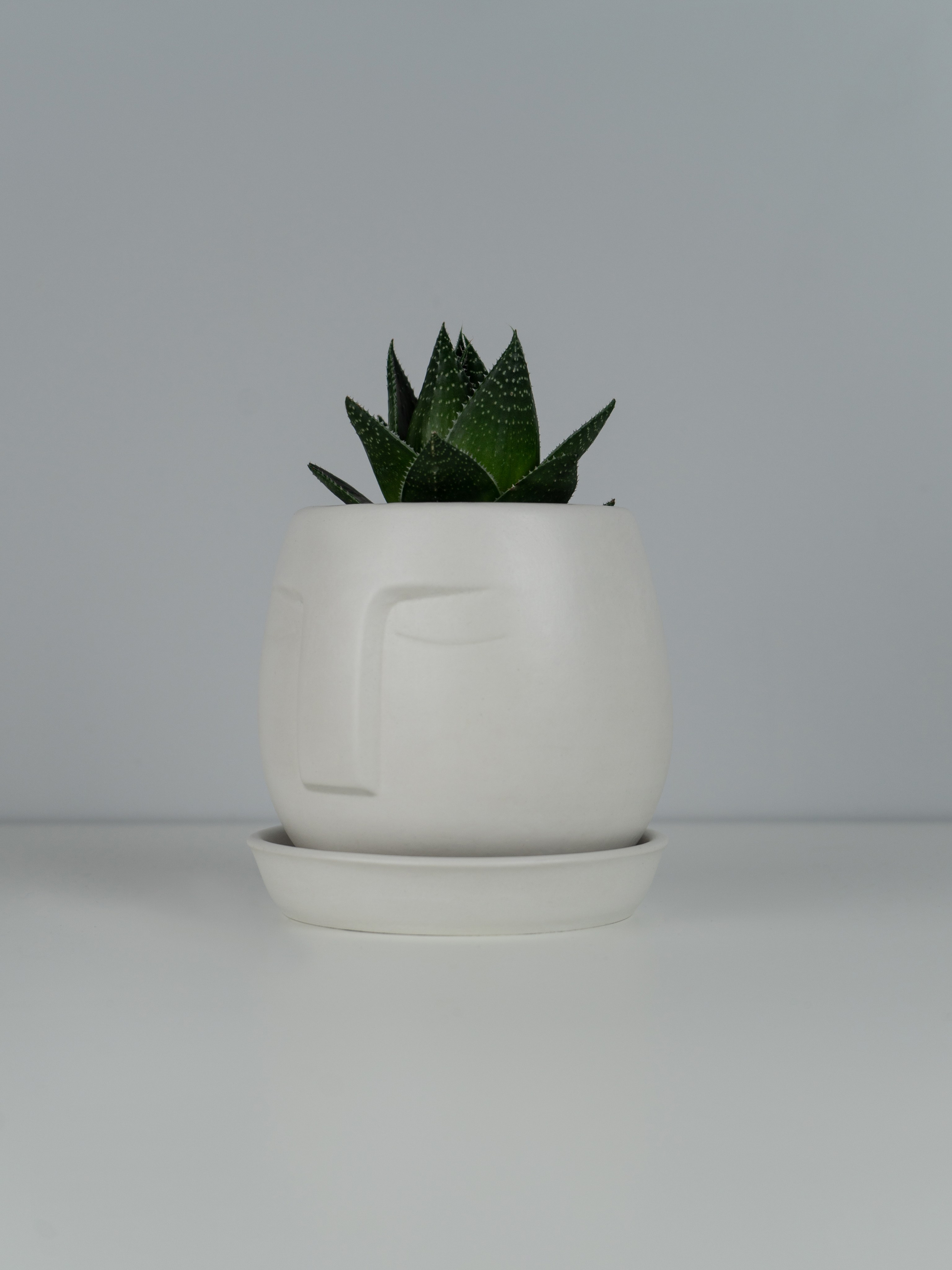 Ваза. Концептуальный фотограф Шлыкова Ольга