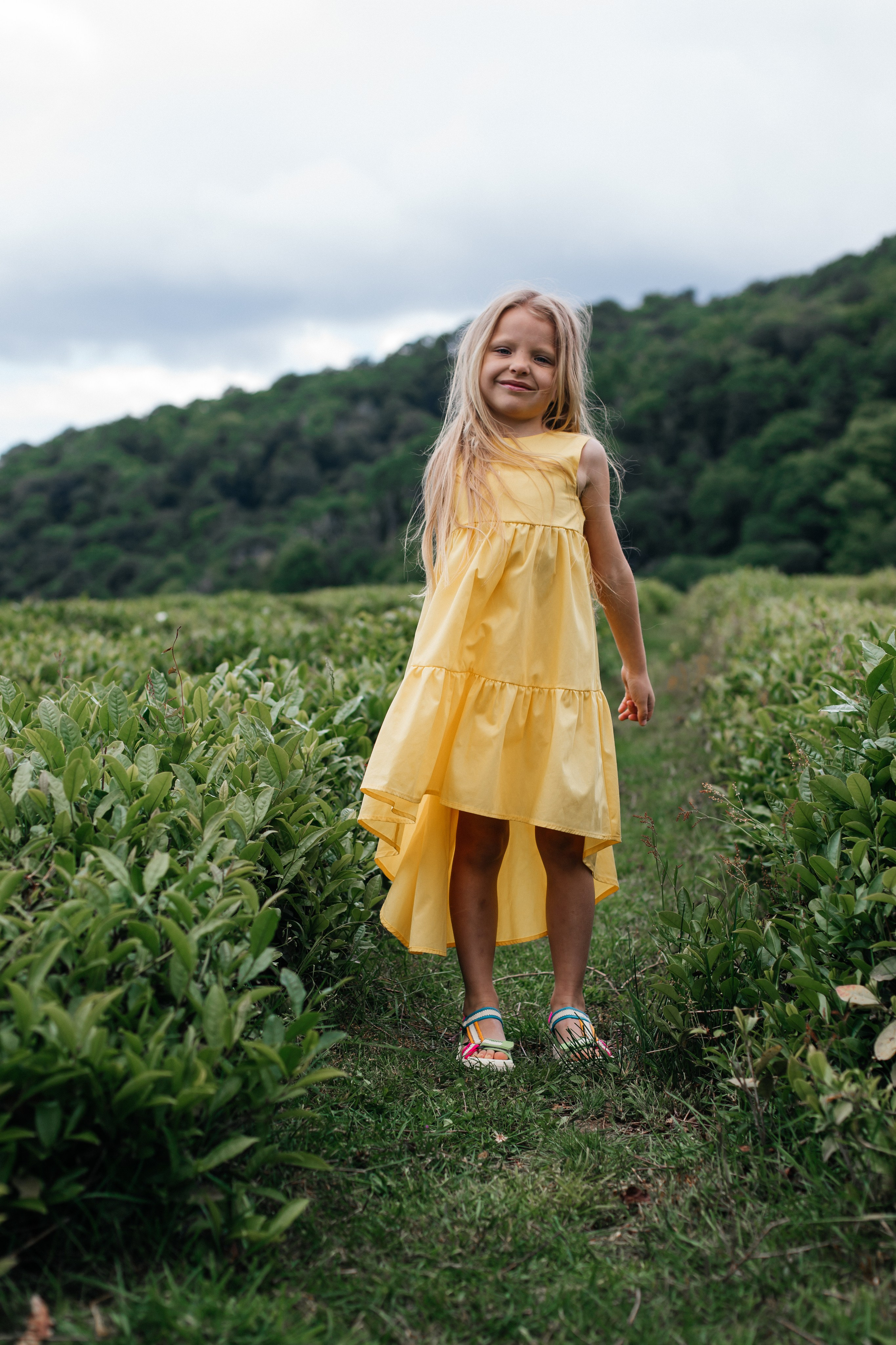 Tea plantation. Efimova Model Agency