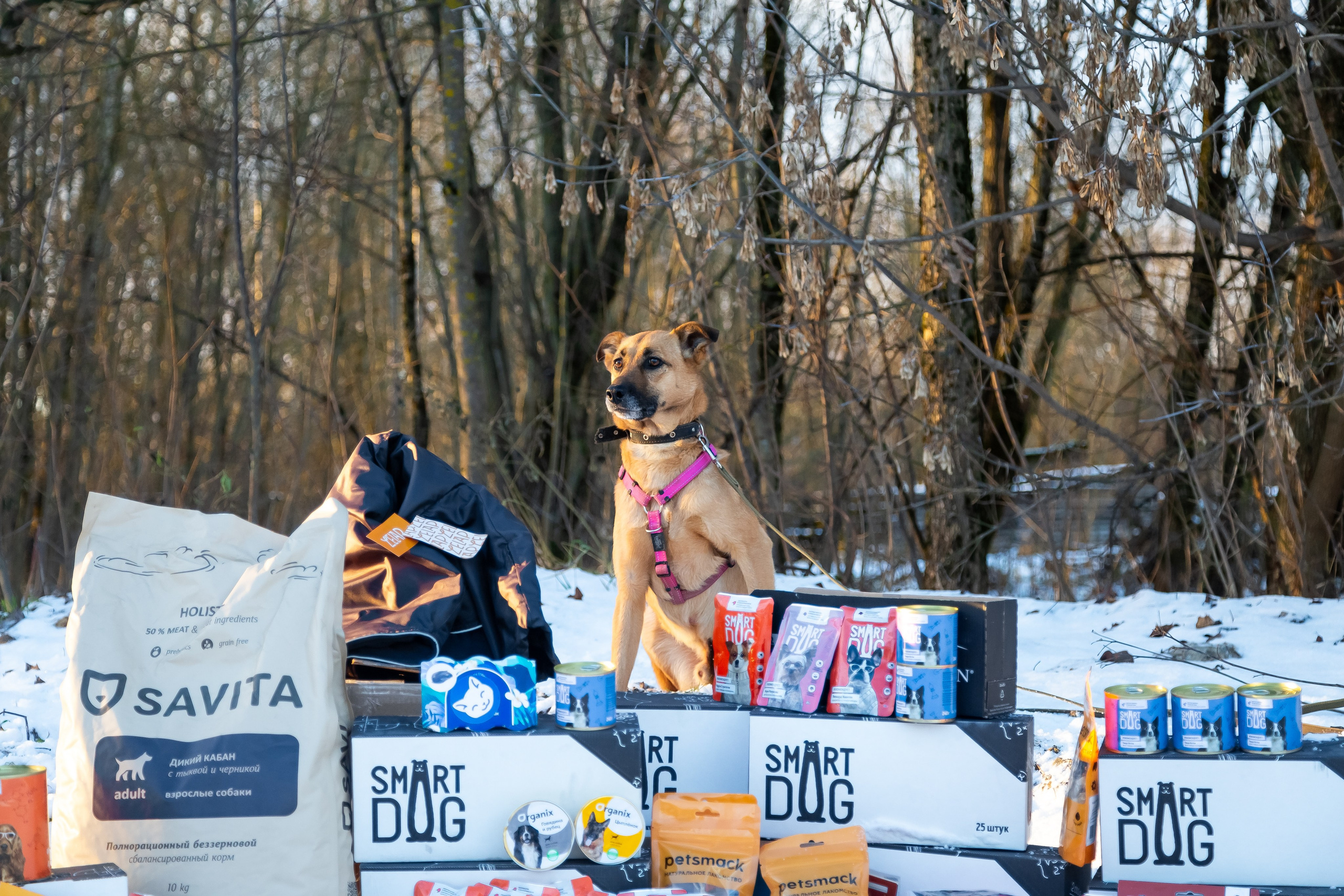 Petshop Забота. Фотограф в Санкт-Петербурге Чумаков Семен