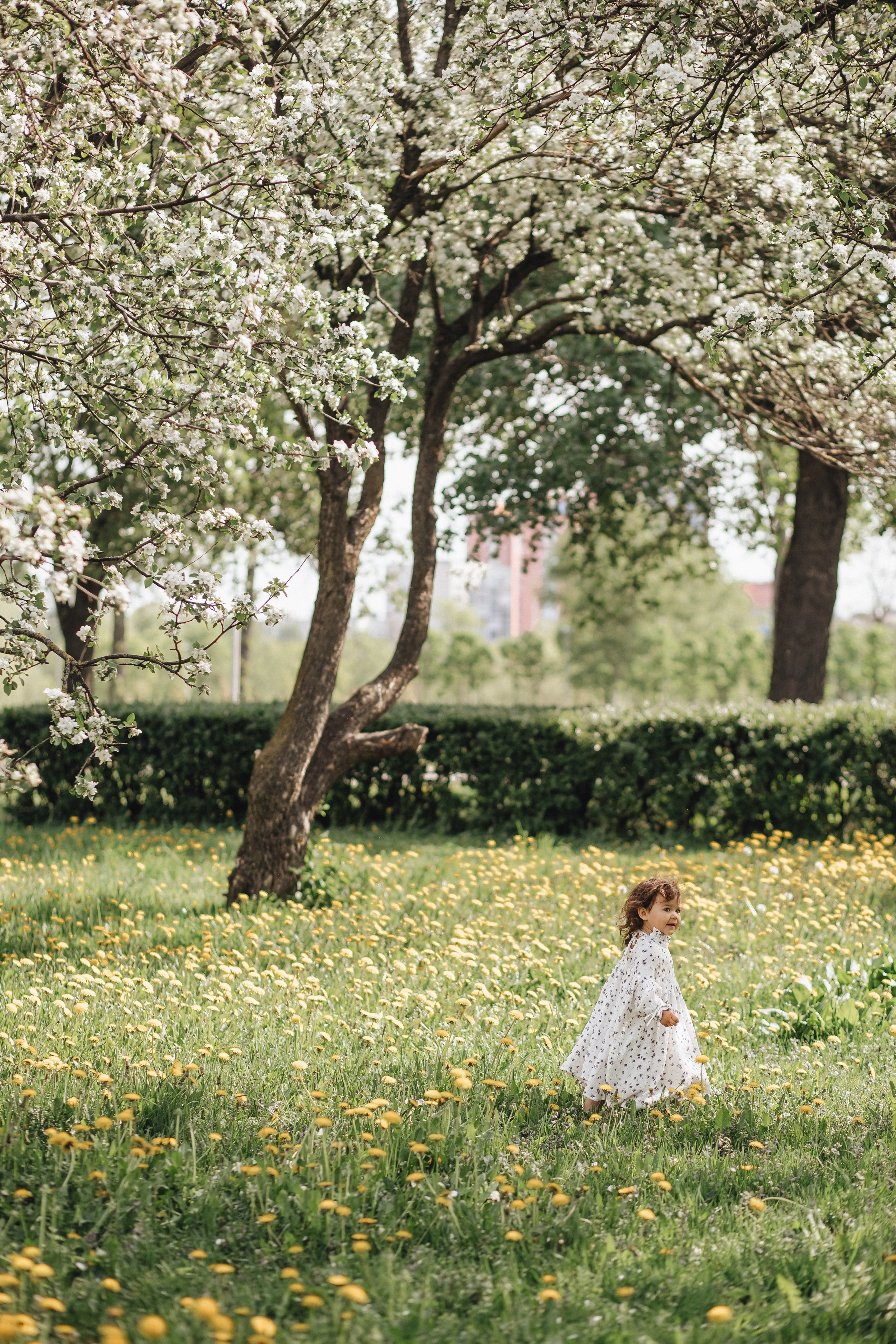 Лиза и Эми. NatalieDmi — фотосессия беременности, семейный фотограф, портрет