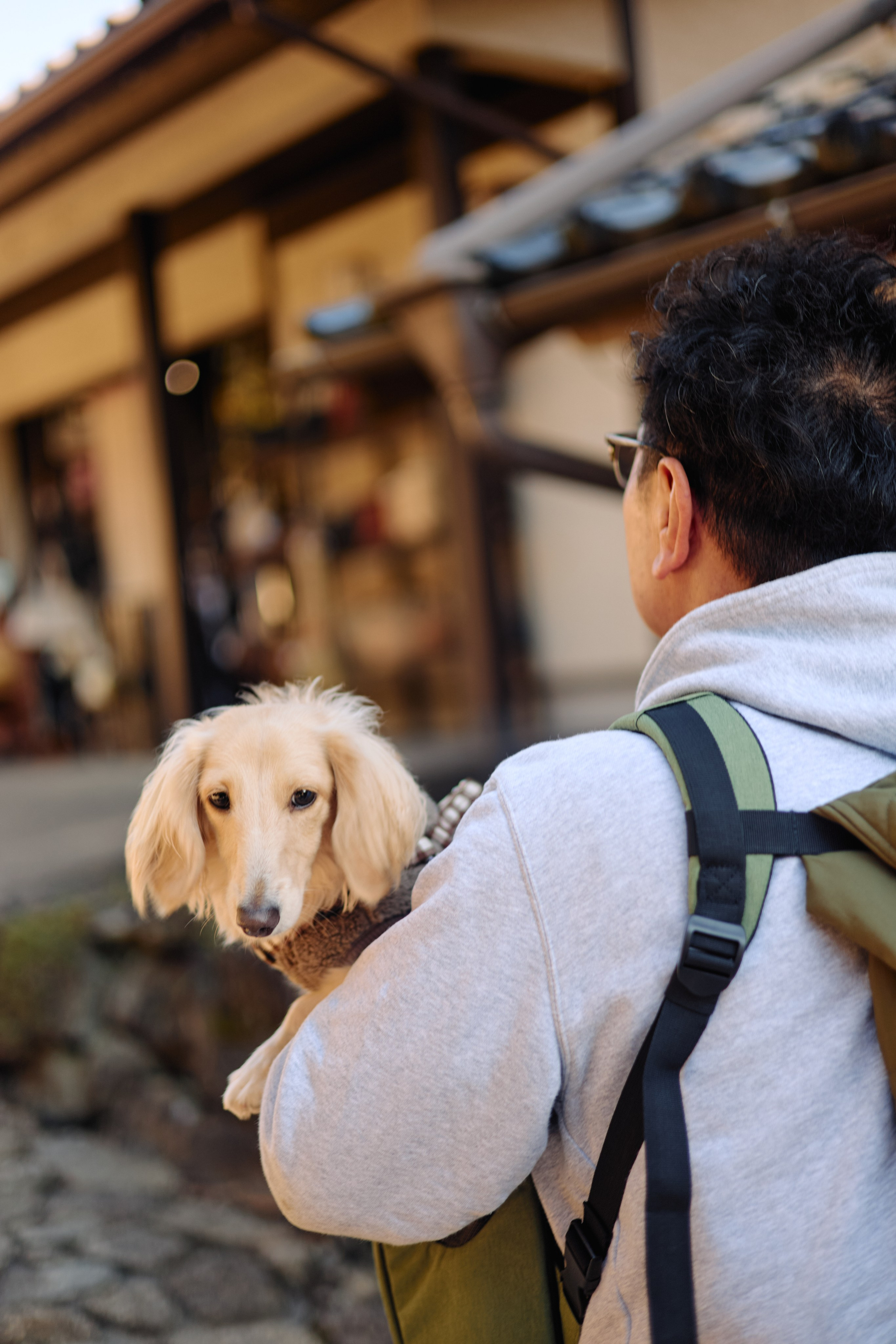 Япония. Профессиональный Фотограф во Владимире, в Москве и в Суздале — Полина Романычева