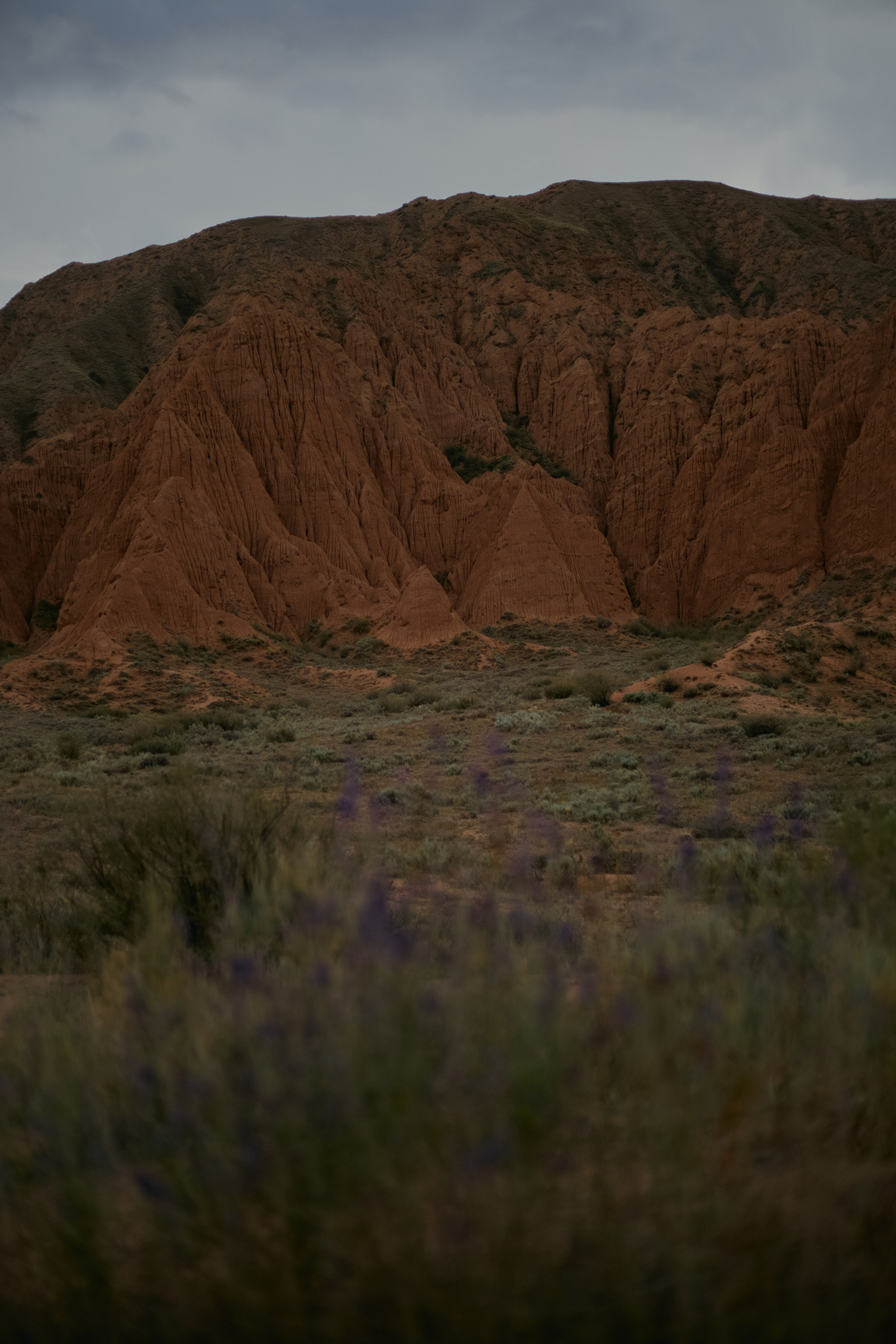 Кыргызтан. Профессиональный Фотограф во Владимире, в Москве и в Суздале — Полина Романычева