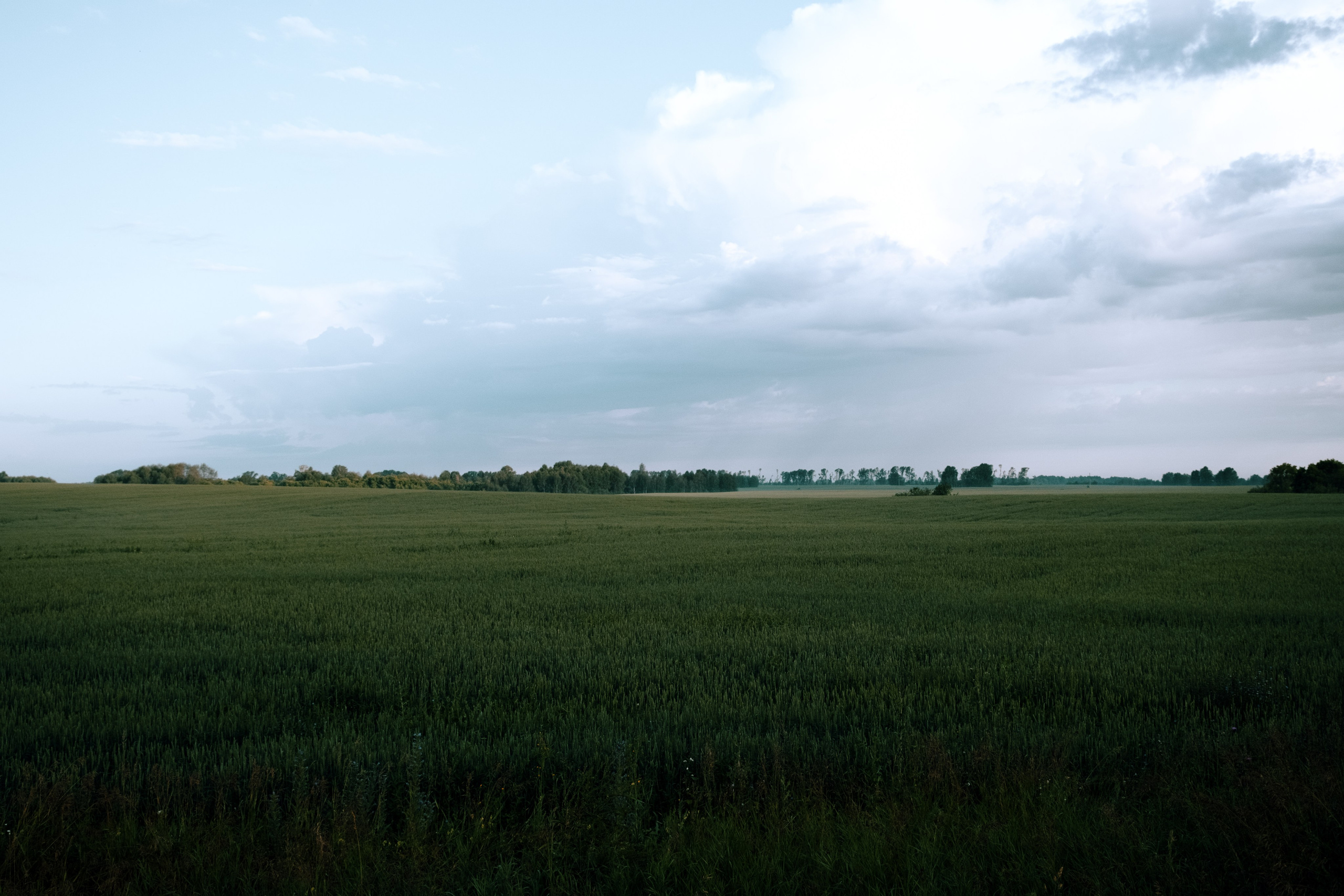 Видеограф в Новосибирске Михаил Катц