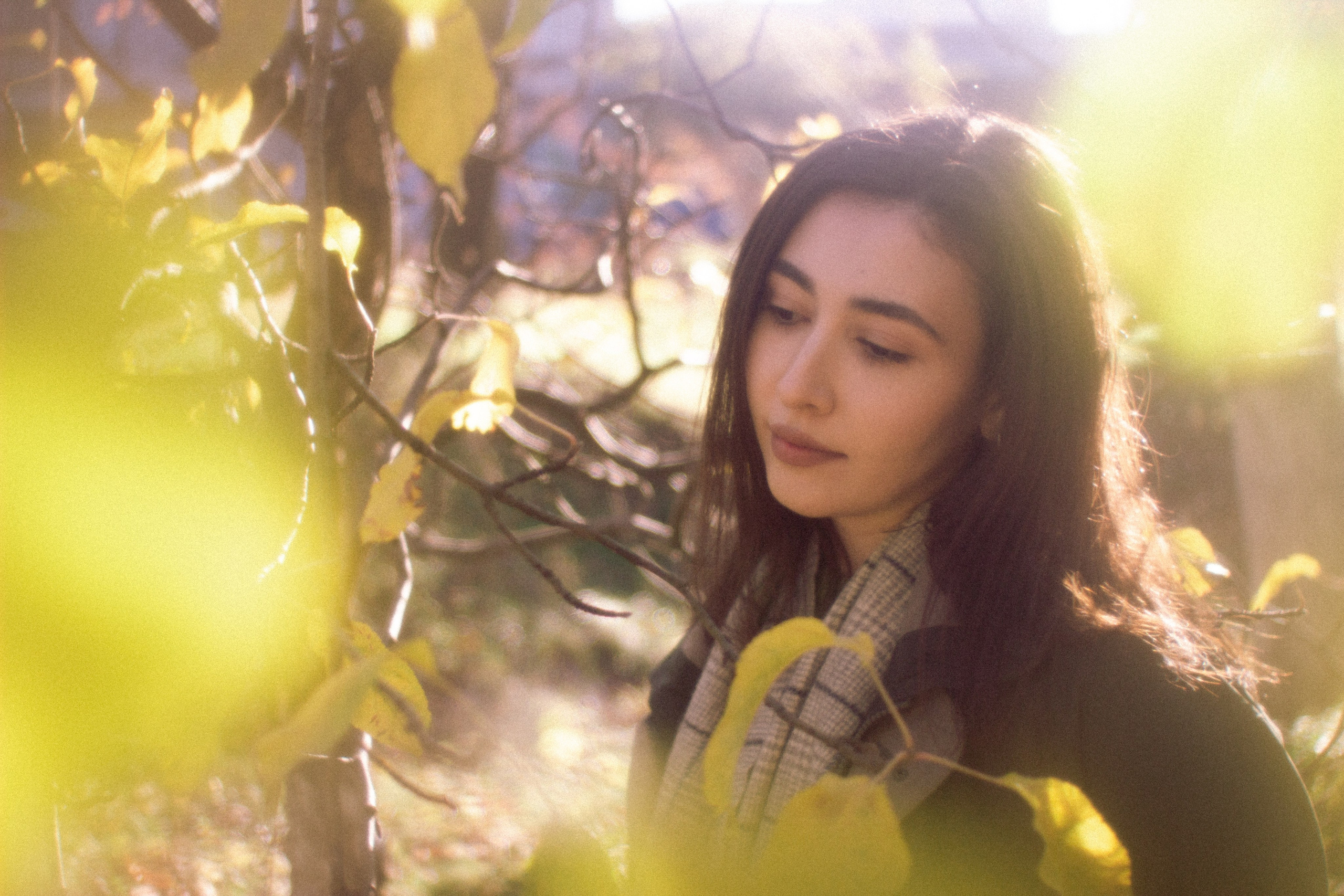 Аромат осеннего света. • Фотограф Александра Светозар Алчевск •