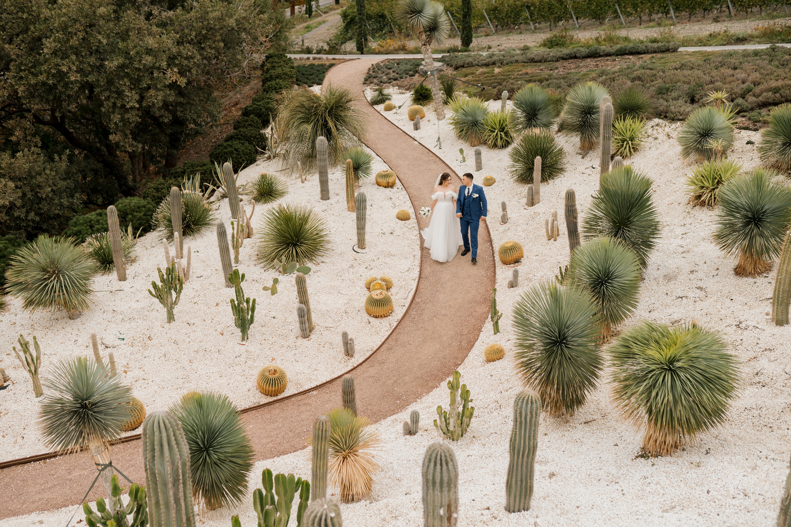 Дмитрий и Дарья. Главная