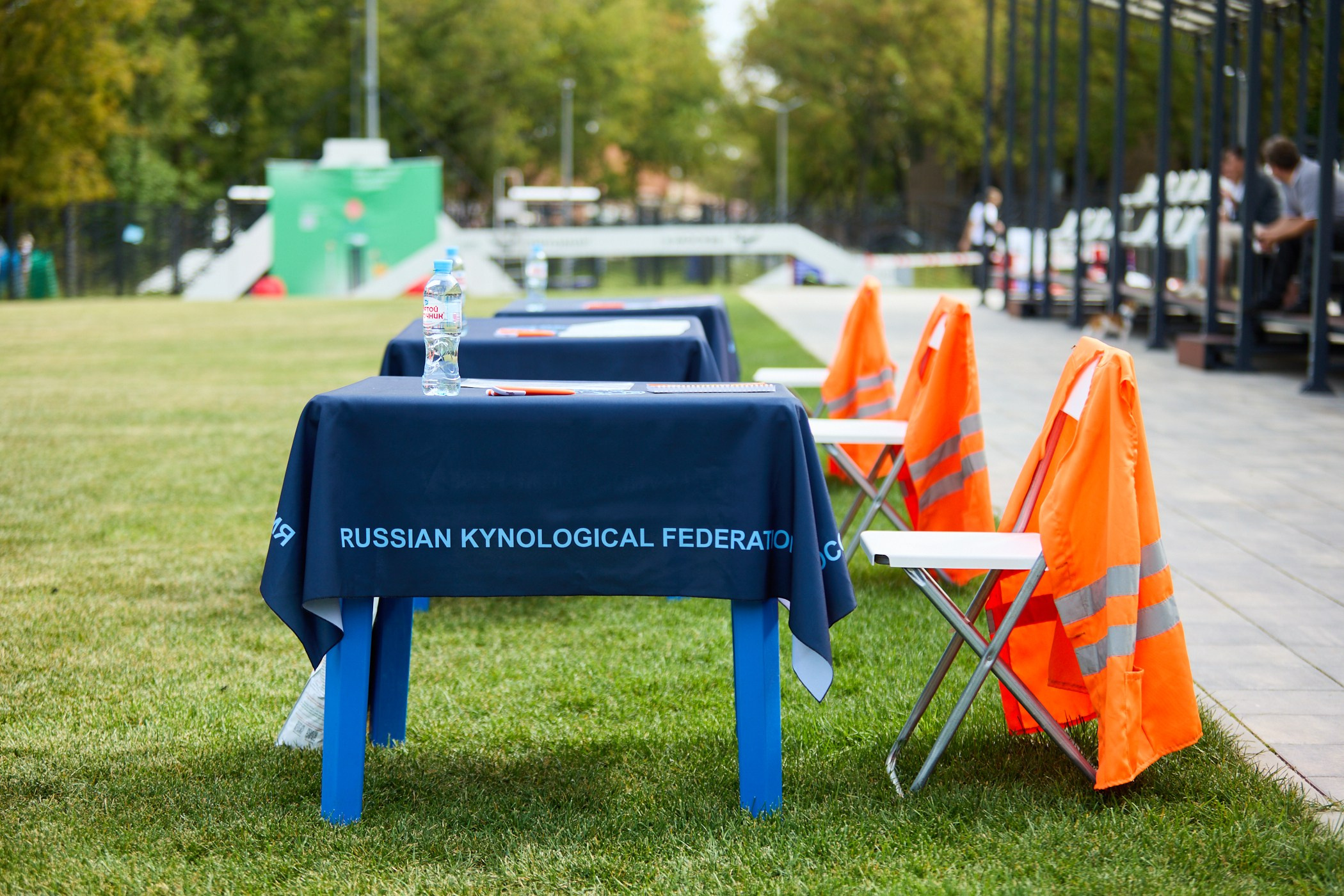 Инклюзивный фестиваль «Три шага к победе». Фотограф Ирина Астор