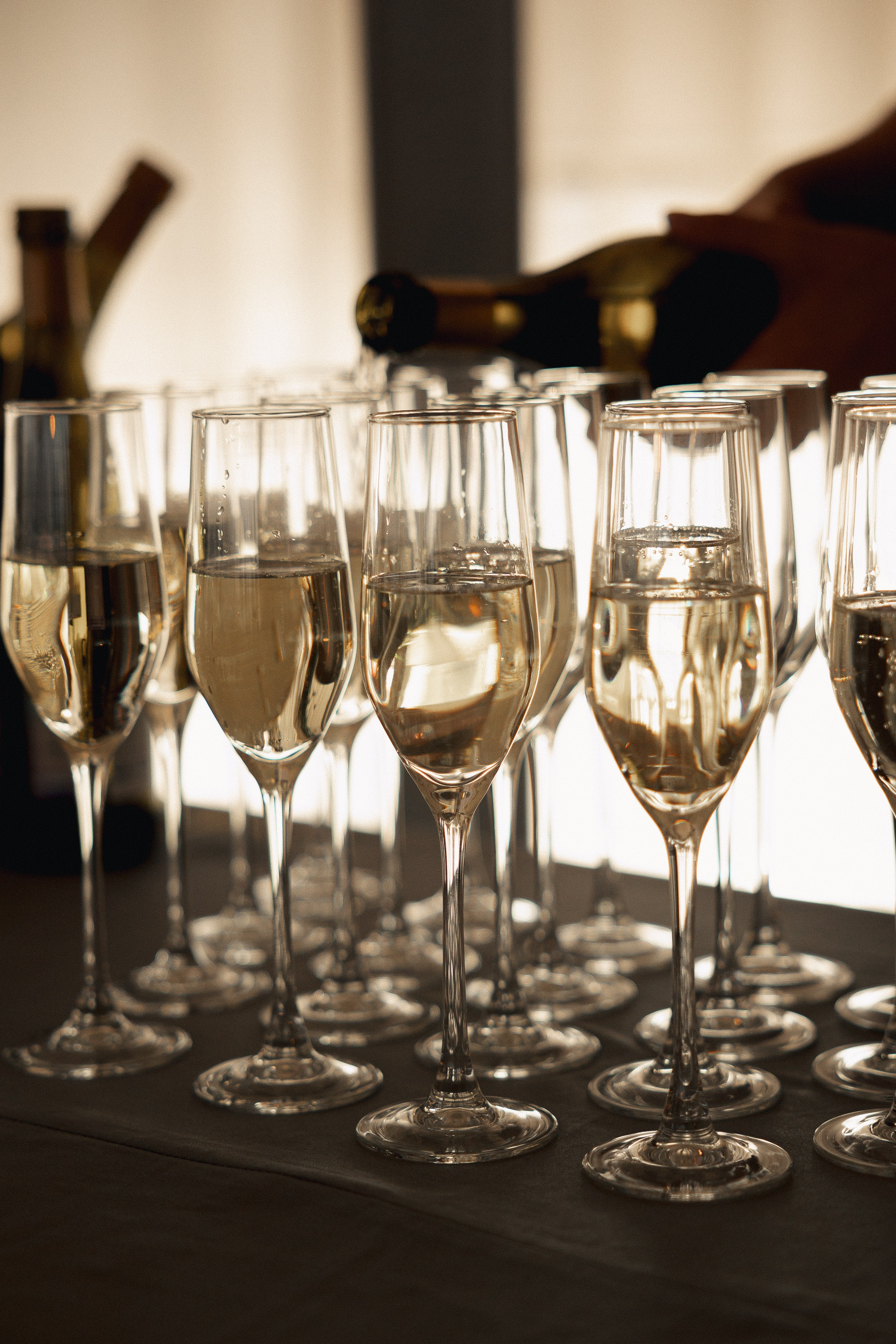 Сад на крыше. Свадебный фотограф Роман Еремеев