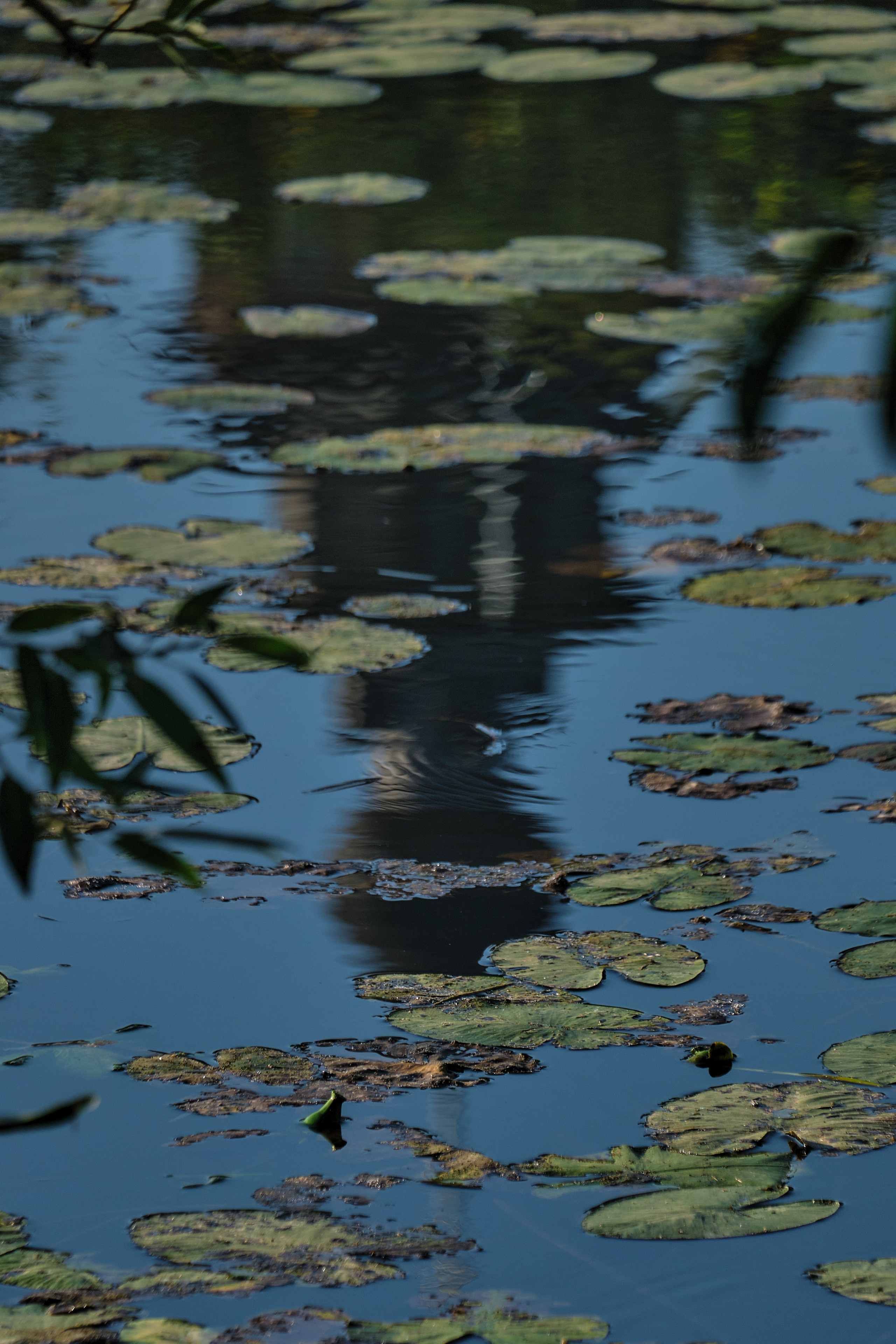 Suzdal City / The Golden Ring of Russia. Aleksandr Kobtsev