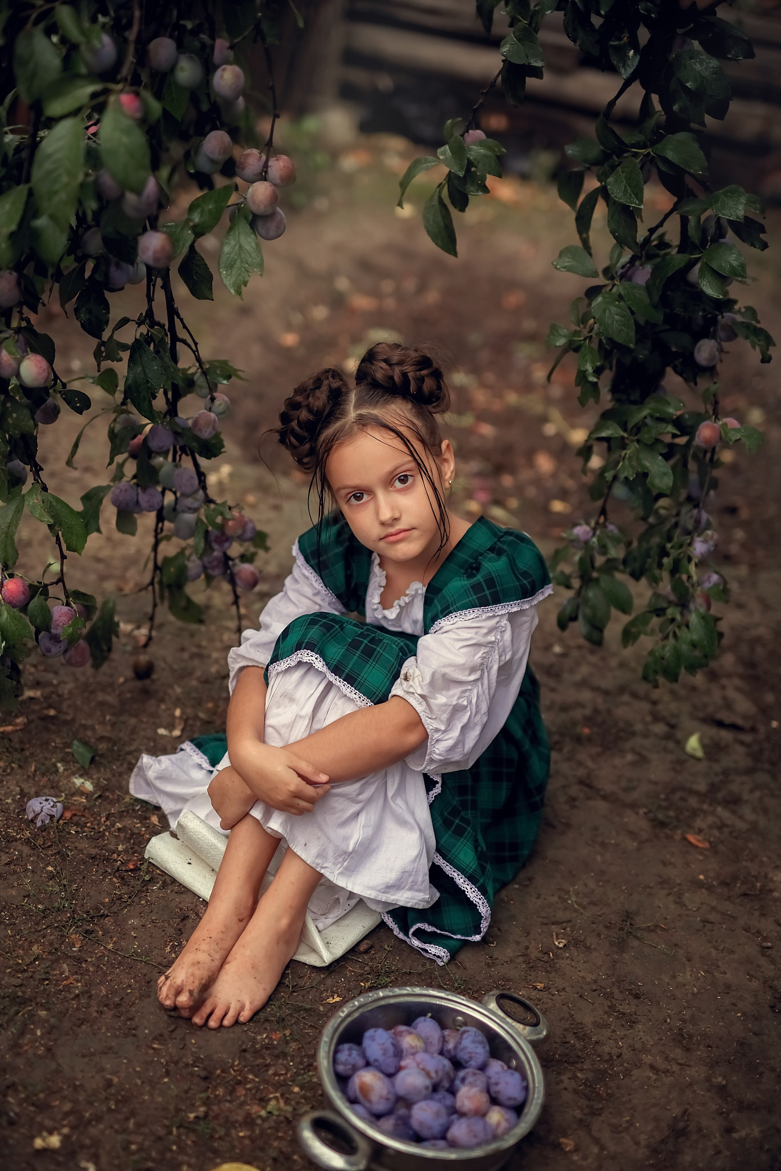 Сливовая история. Семейный и детский фотограф Екатерина Савёлова