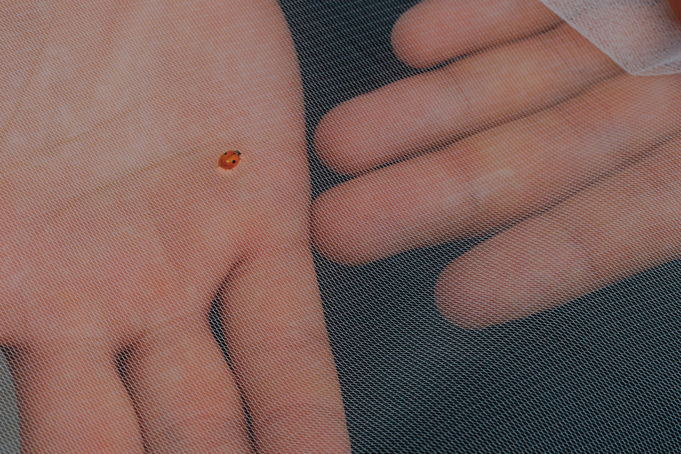 Nikita&Nastya. Свадебный фотограф в Санкт-Петербурге и Москве Андрей Чернов