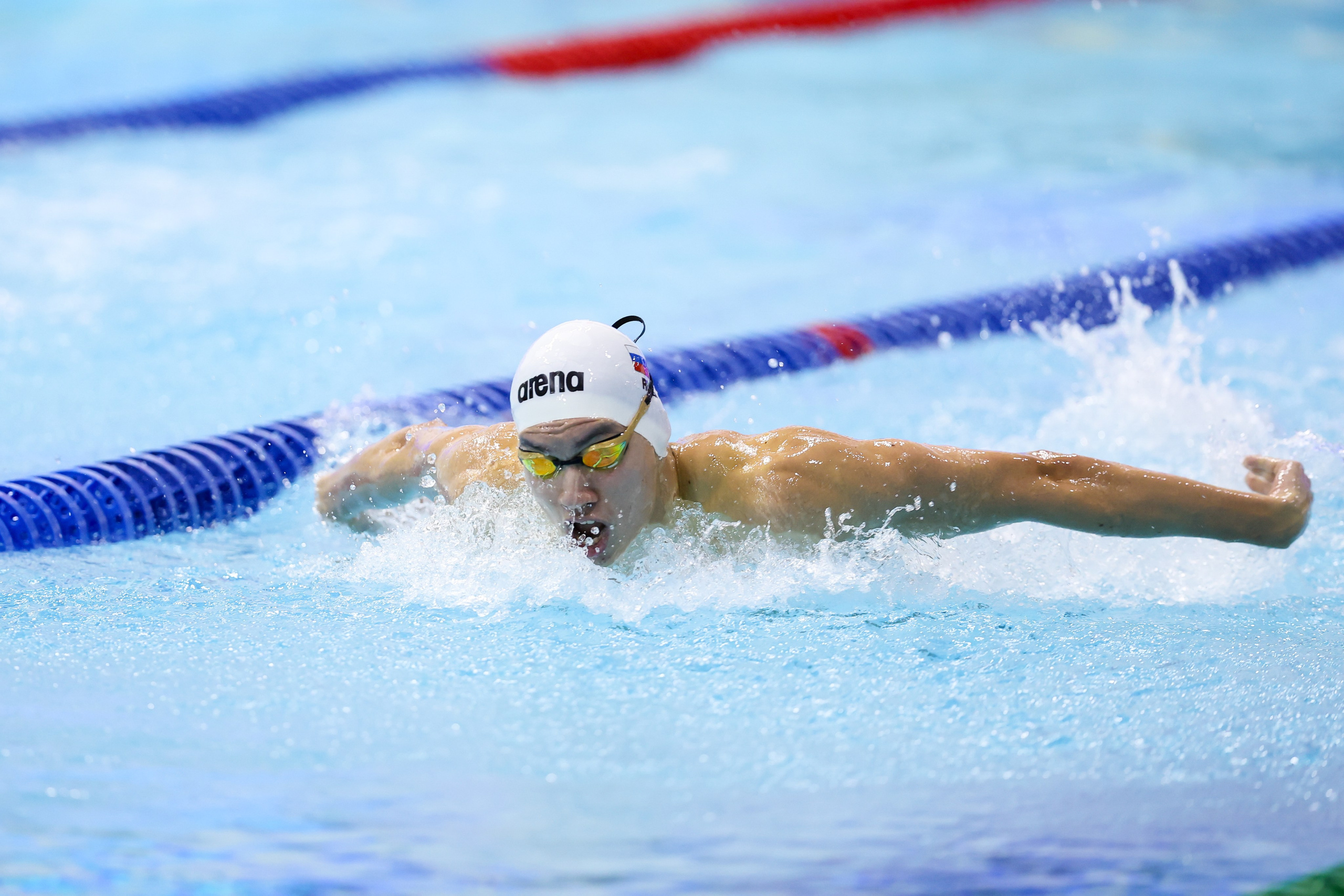 Чемпионат России по плаванию 25 м 21-26.11.2024. Спортивный и репортажный фотограф Антон Тереханов