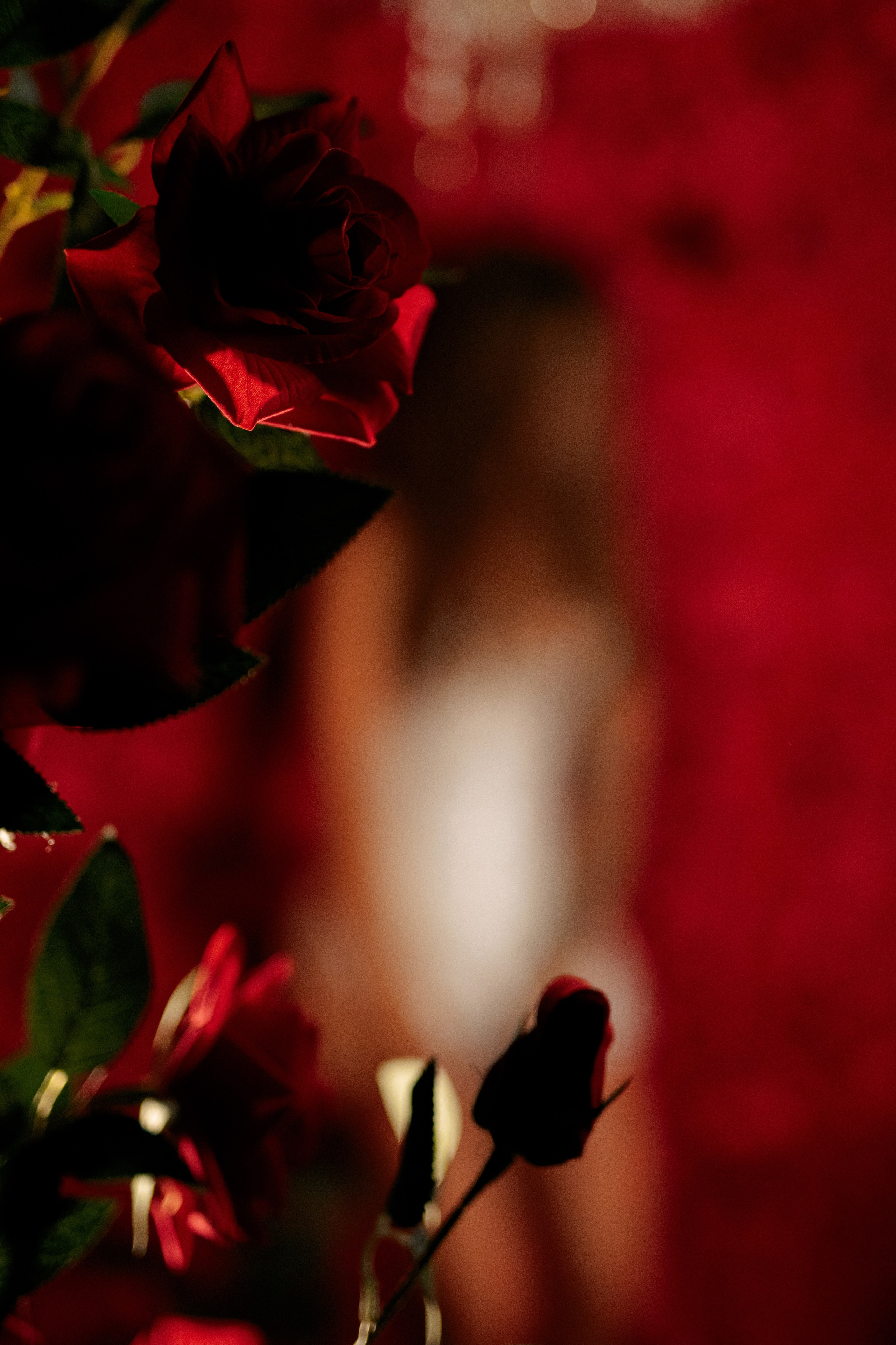 Алена. Семейный и лавстори фотограф в Санкт-Петербурге Леся Ревзина