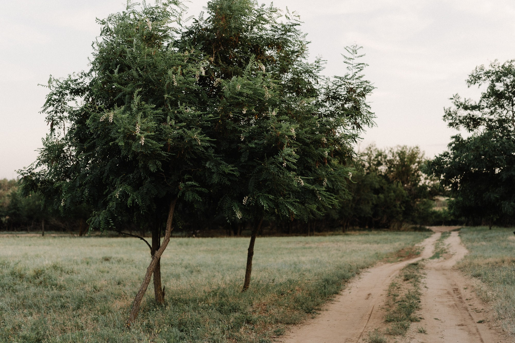 Даша и Маруся. Семейный и детский фотограф в Волгограде и Сочи Наталия Пирметова