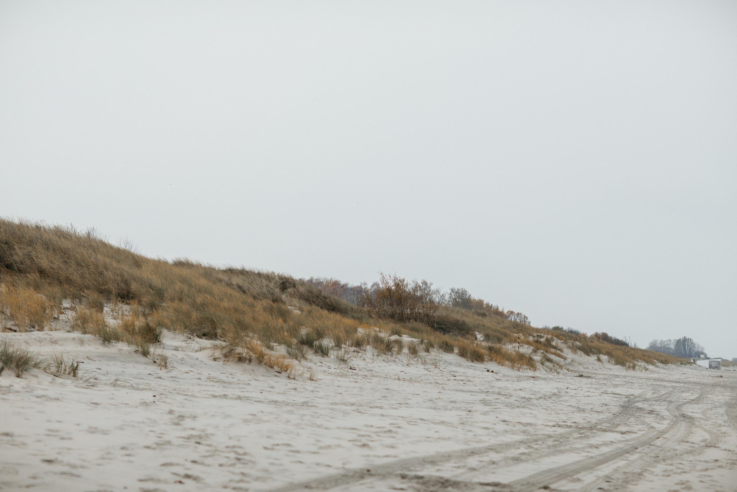 Фотосессия в Балтийске. Https://malovafoto.ru