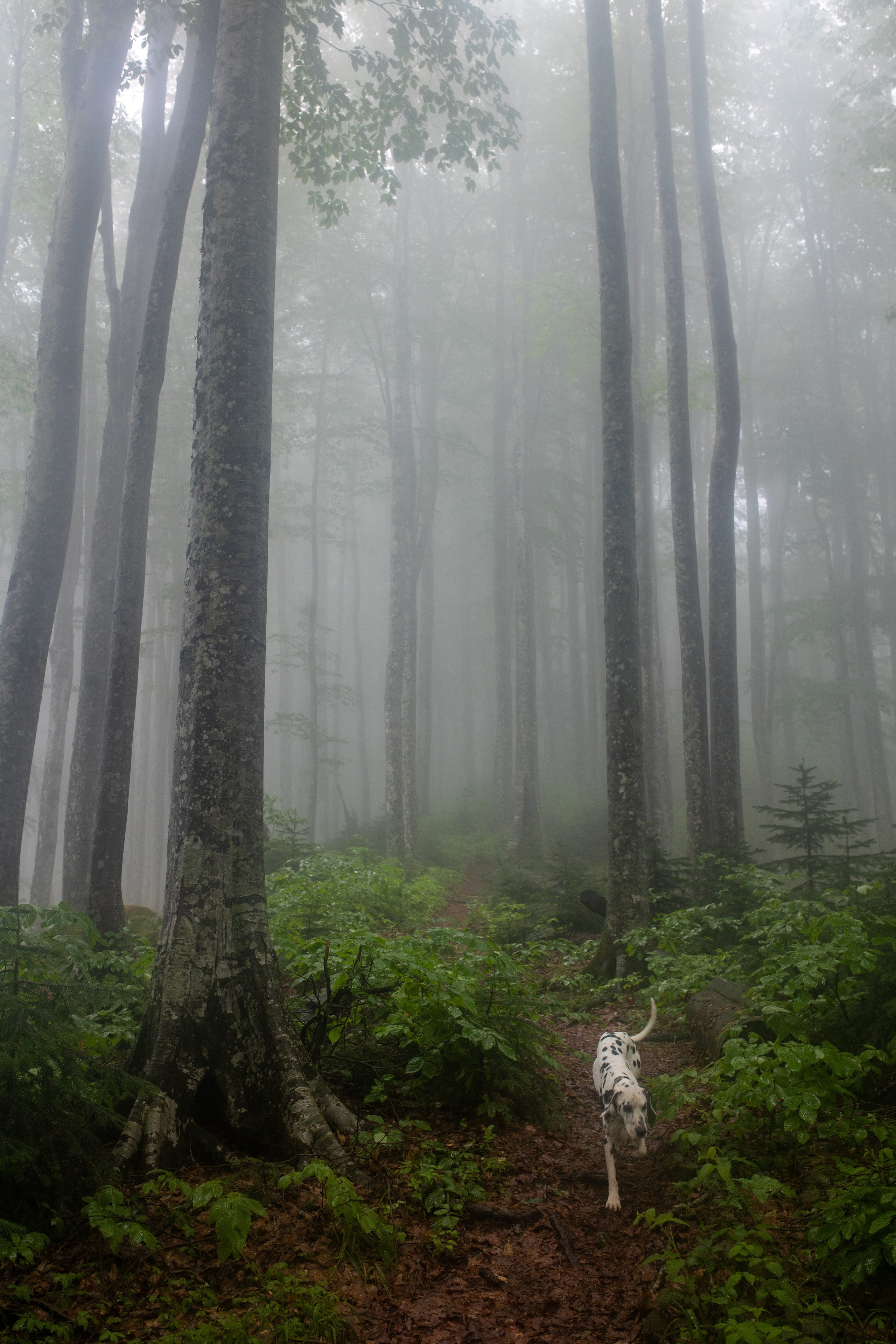Грачев Венец. Тревел-фотограф Олег Гуров