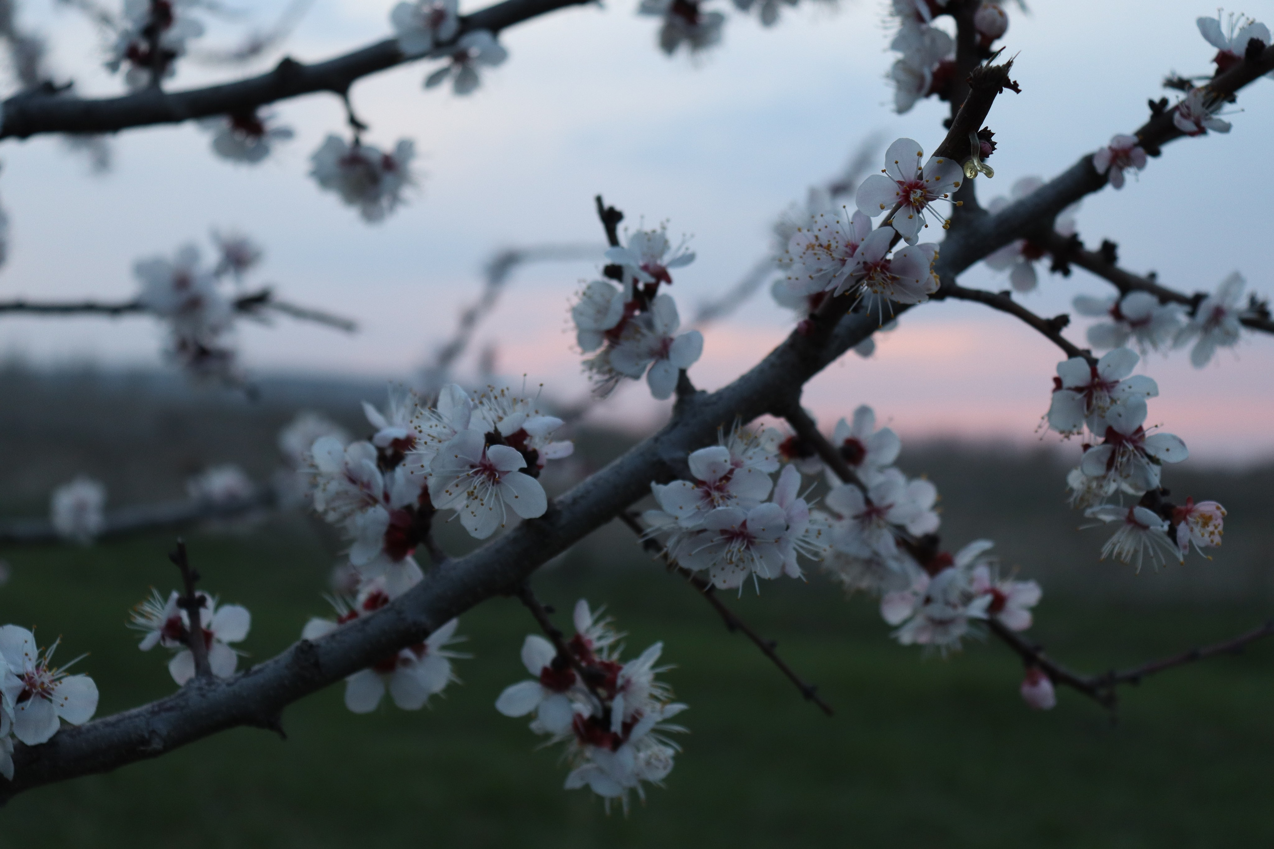 Muras-resort. Фотограф