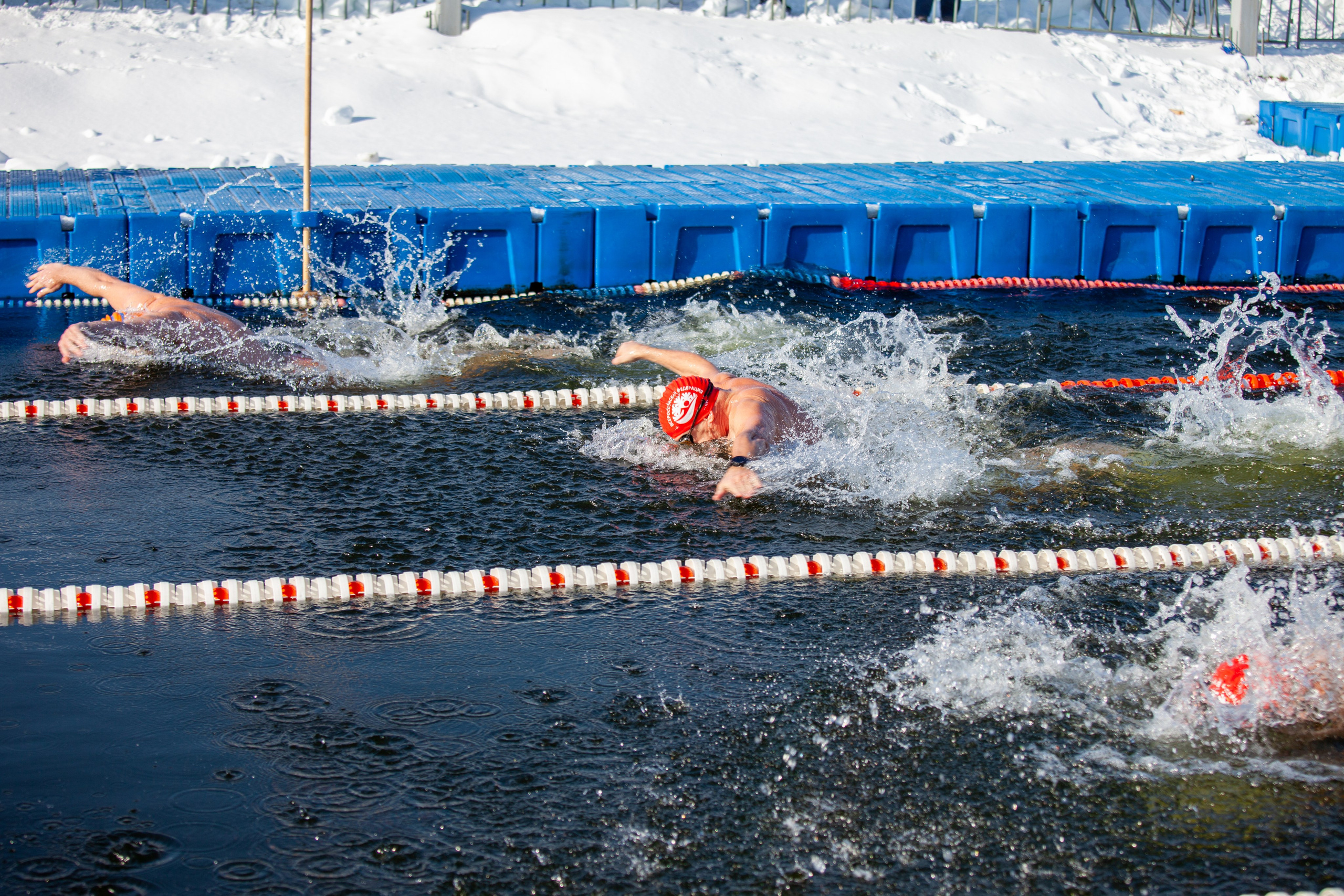 Кубок Дружбы- Москва. Репортажный, семейный, свадебный, портретный фотограф