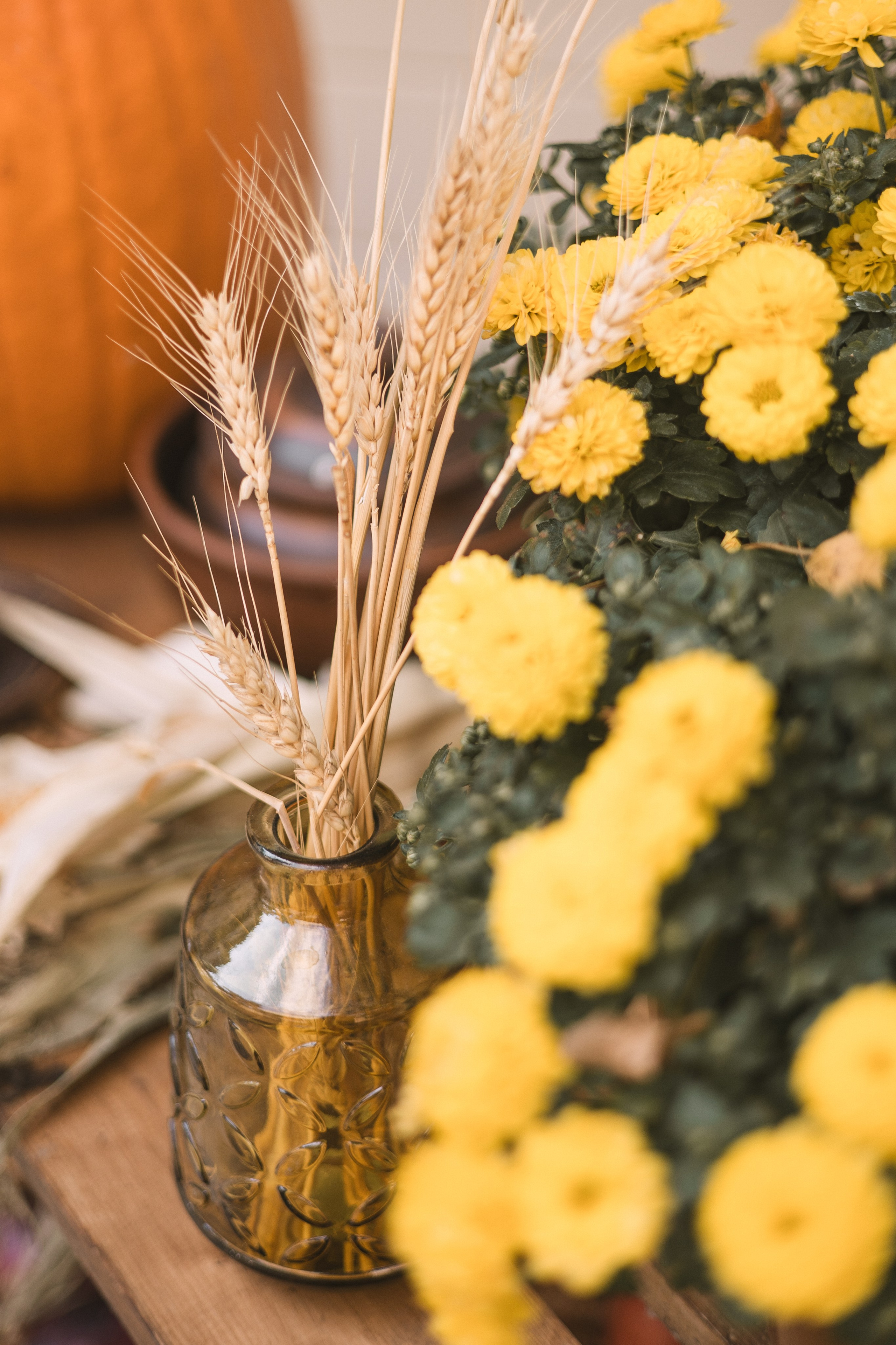 Краски осени. Женский и семейный фотограф в Москве Никулина Алена