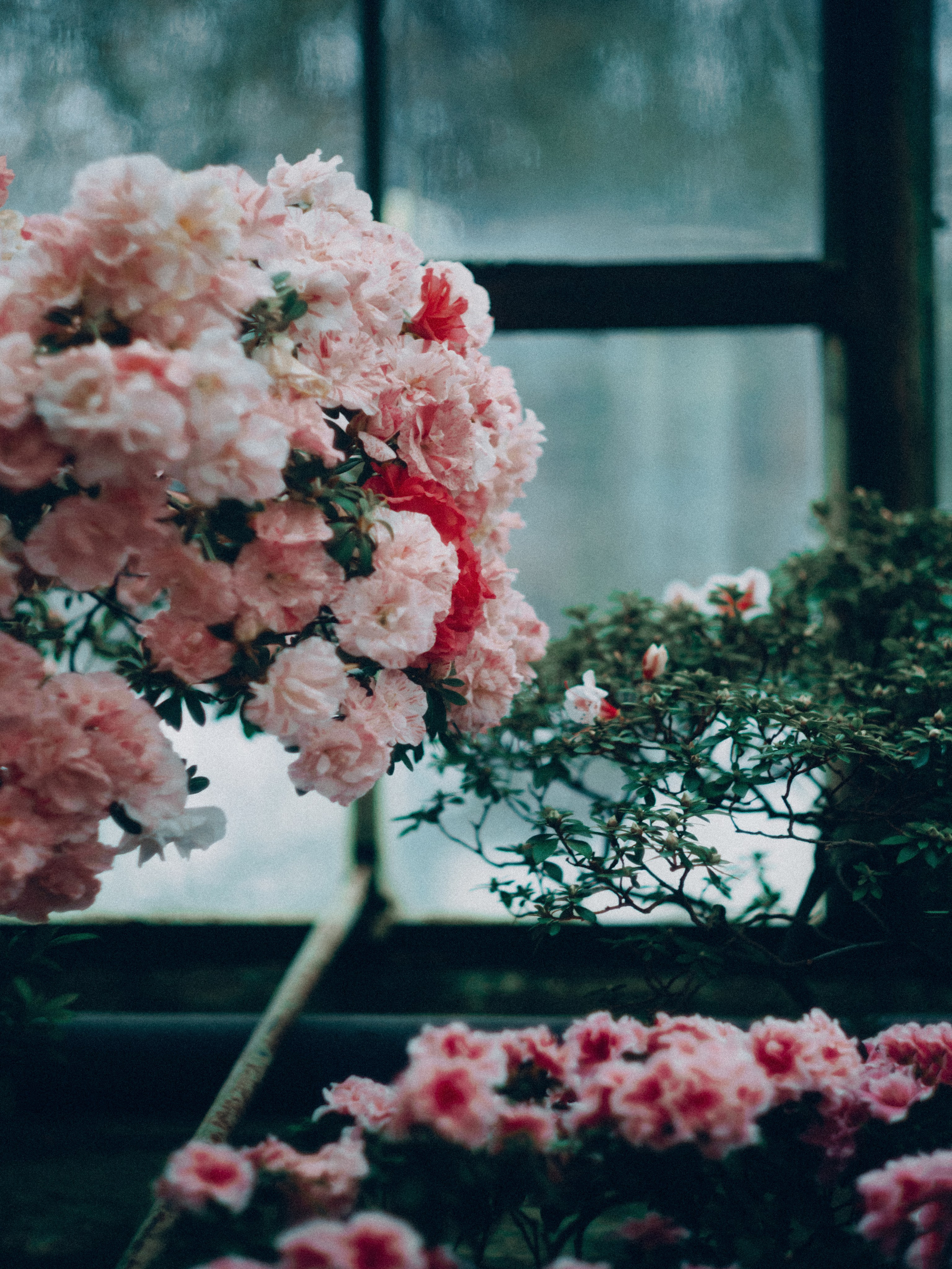 Botanical. Портретный и свадебный фотограф в Москве и Санкт-Петербурге. Учитель фотографии онлайн и оффлайн